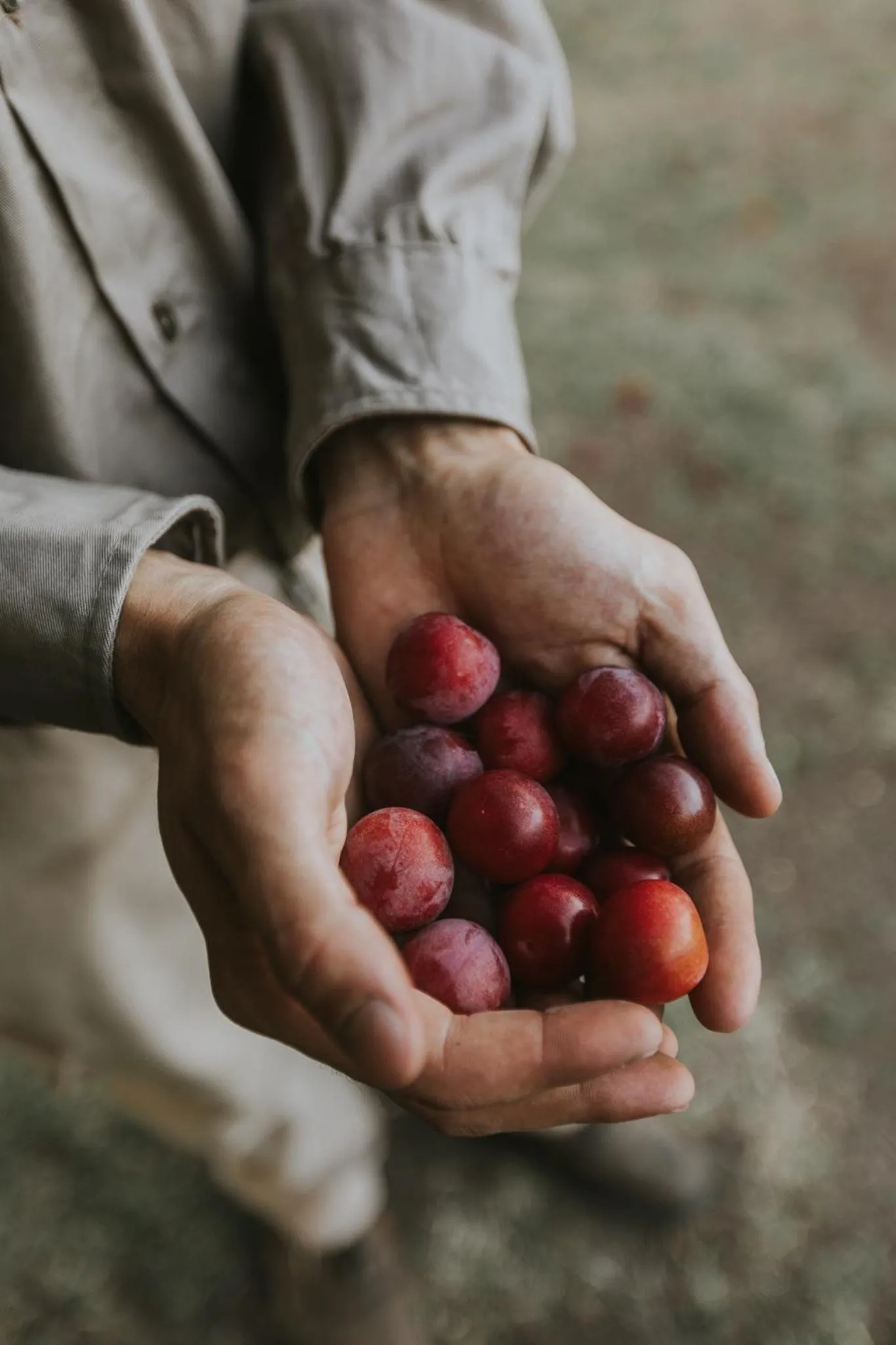 Activities in El Colibri - Relais & Châteaux