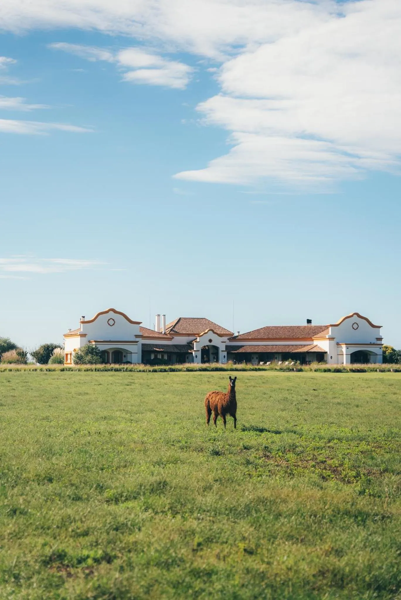 Facade/entrance in El Colibri - Relais & Châteaux