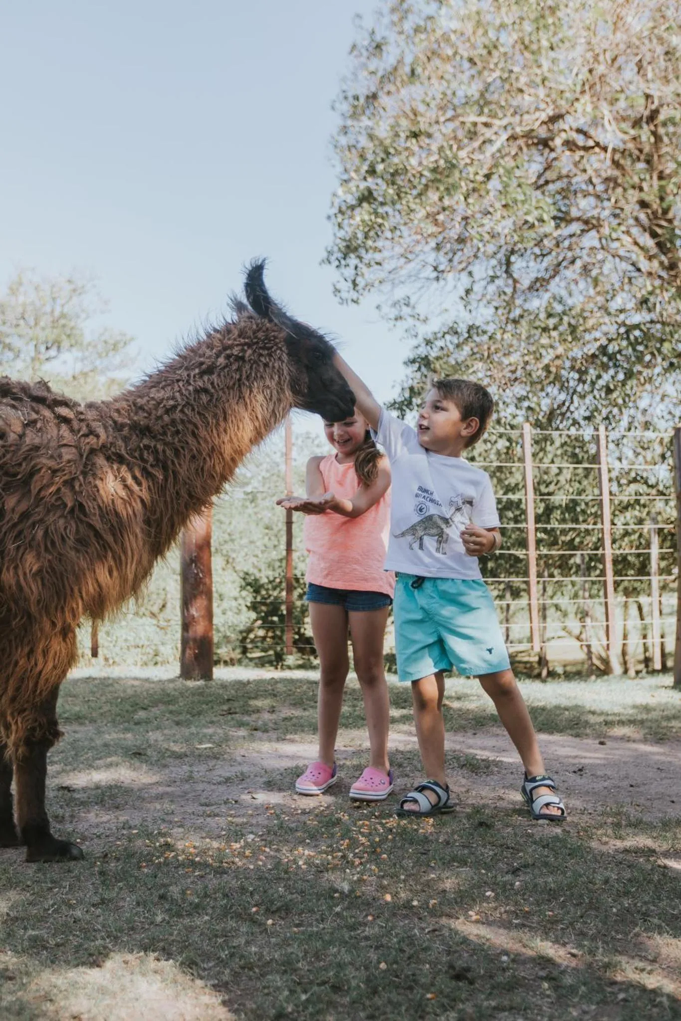 Activities in El Colibri - Relais & Châteaux