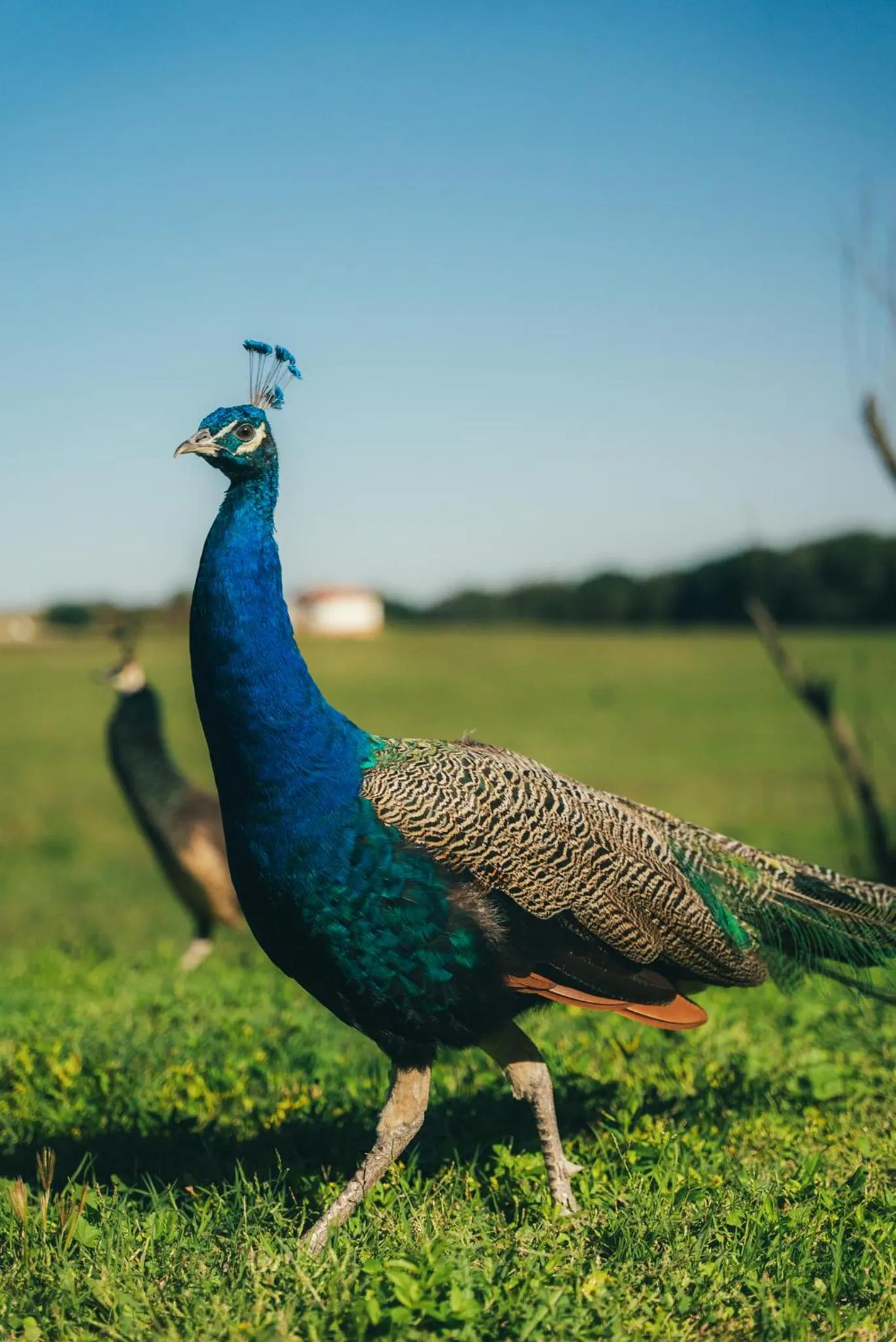 Activities in El Colibri - Relais & Châteaux
