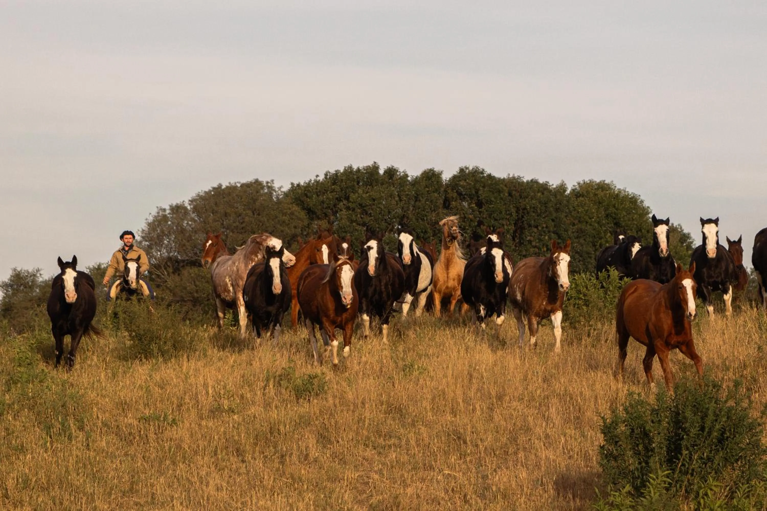 Natural landscape in El Colibri - Relais & Châteaux