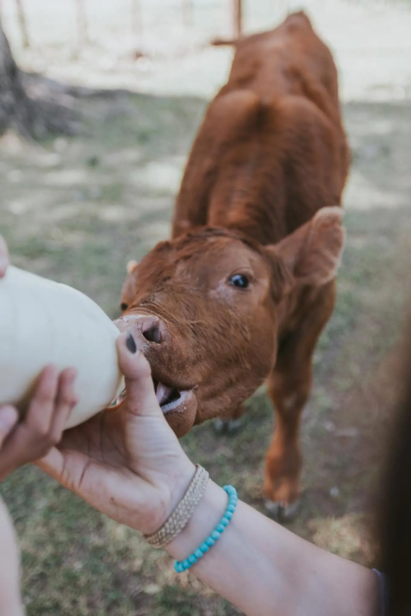 Activities in El Colibri - Relais & Châteaux