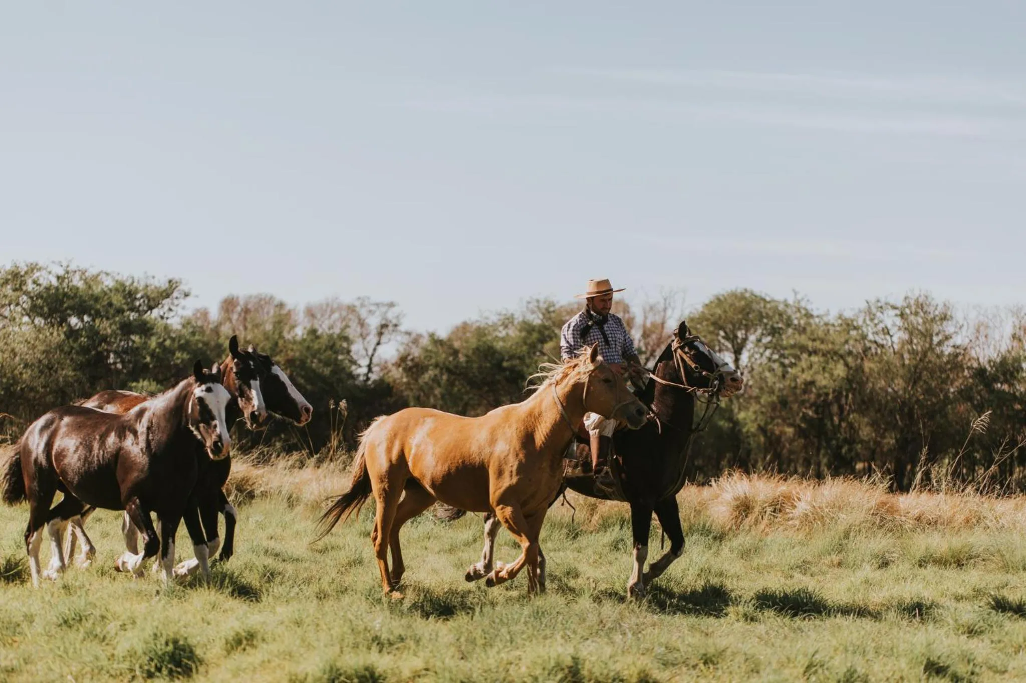 Activities in El Colibri - Relais & Châteaux
