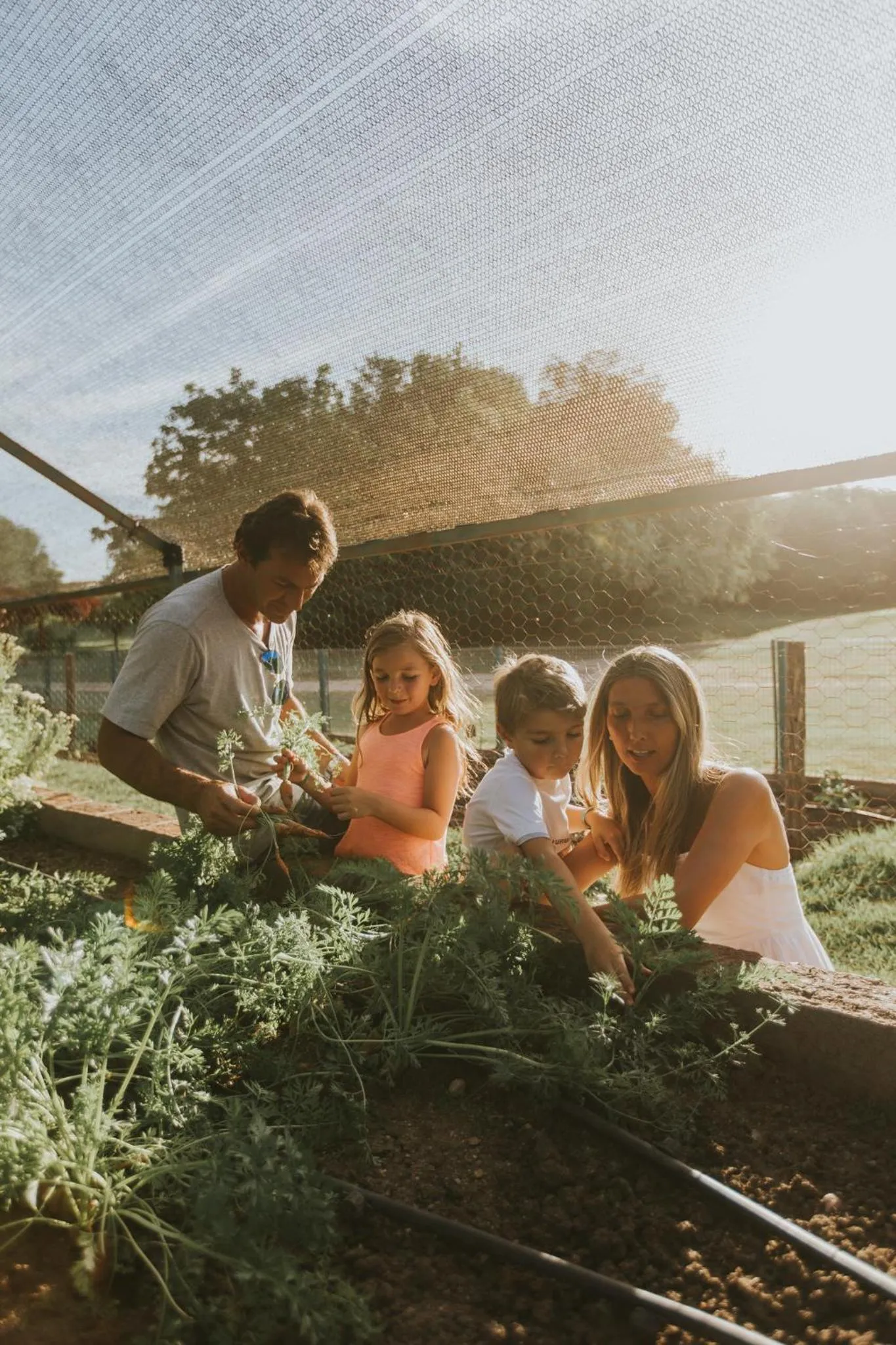 Garden in El Colibri - Relais & Châteaux
