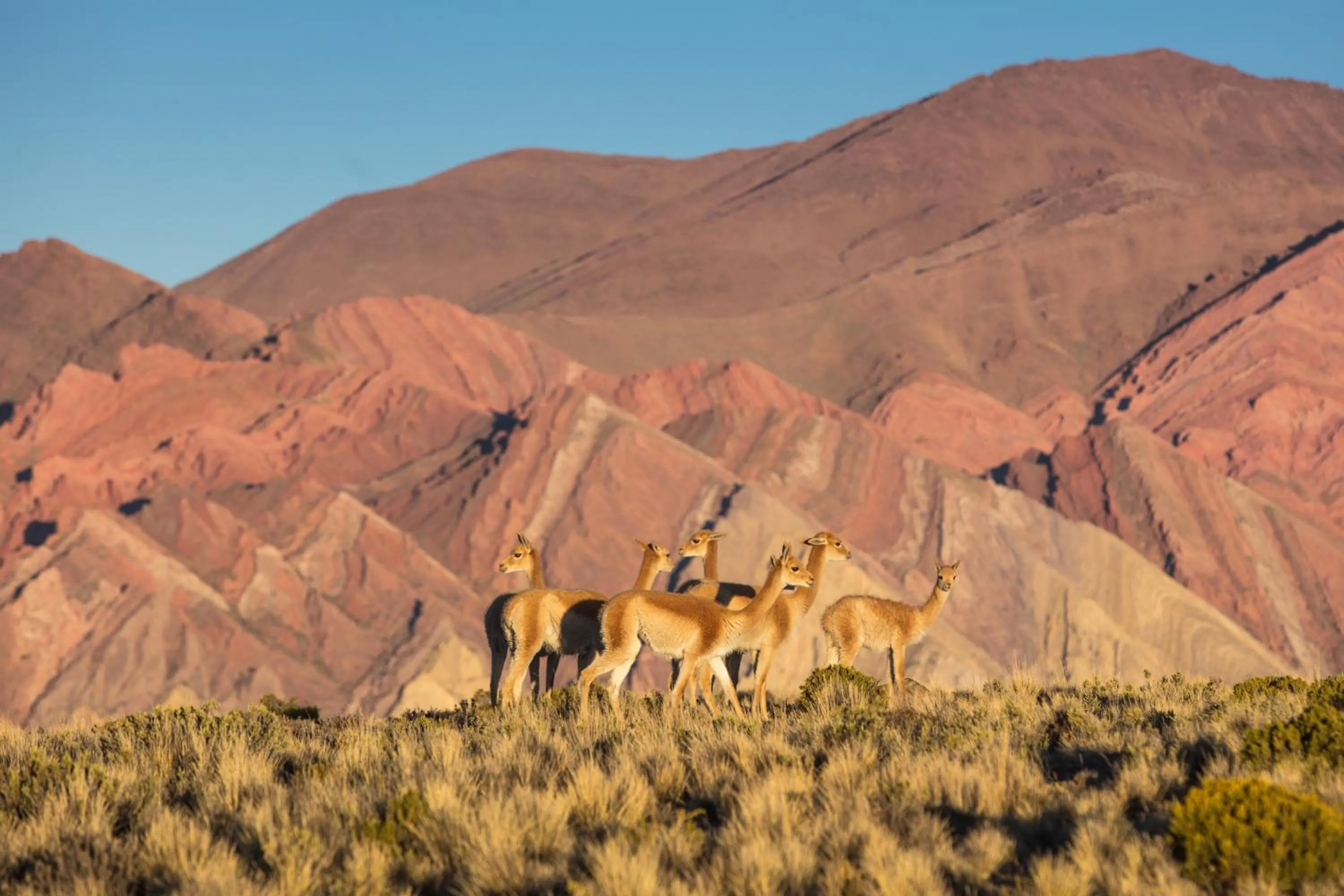 Natural landscape in House of Jasmines Relais & Châteaux