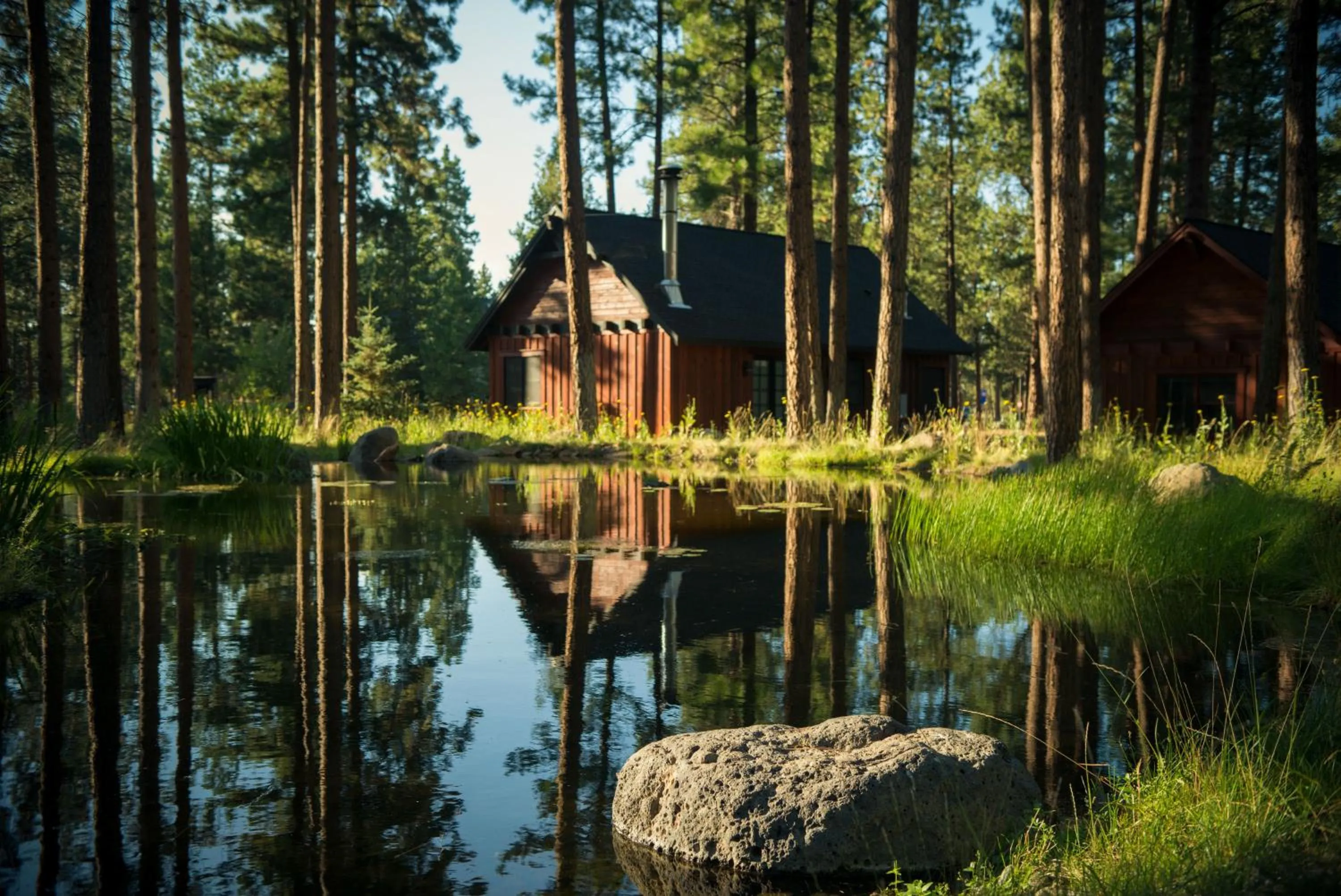 Other in FivePine Lodge