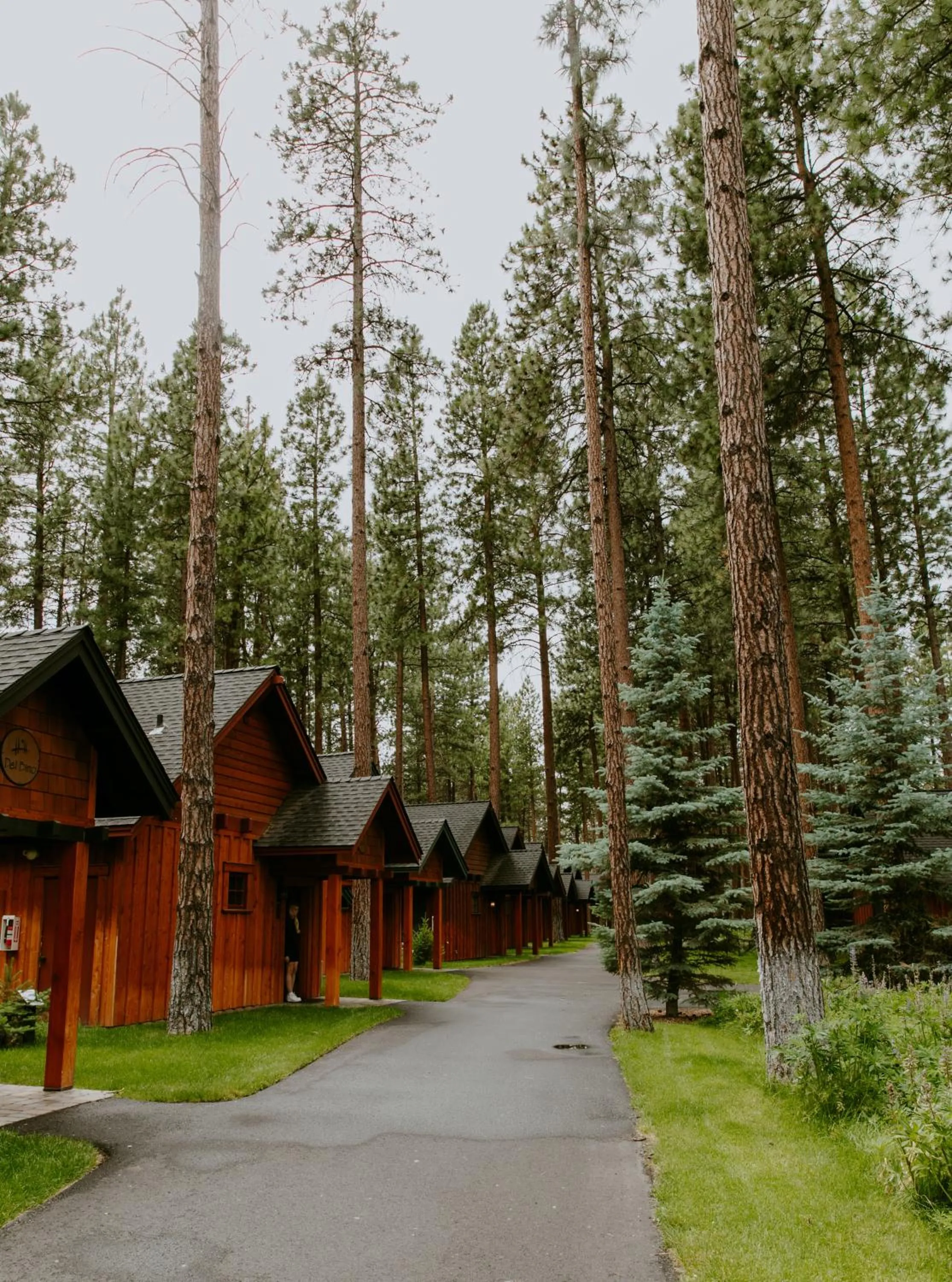 Property building in FivePine Lodge