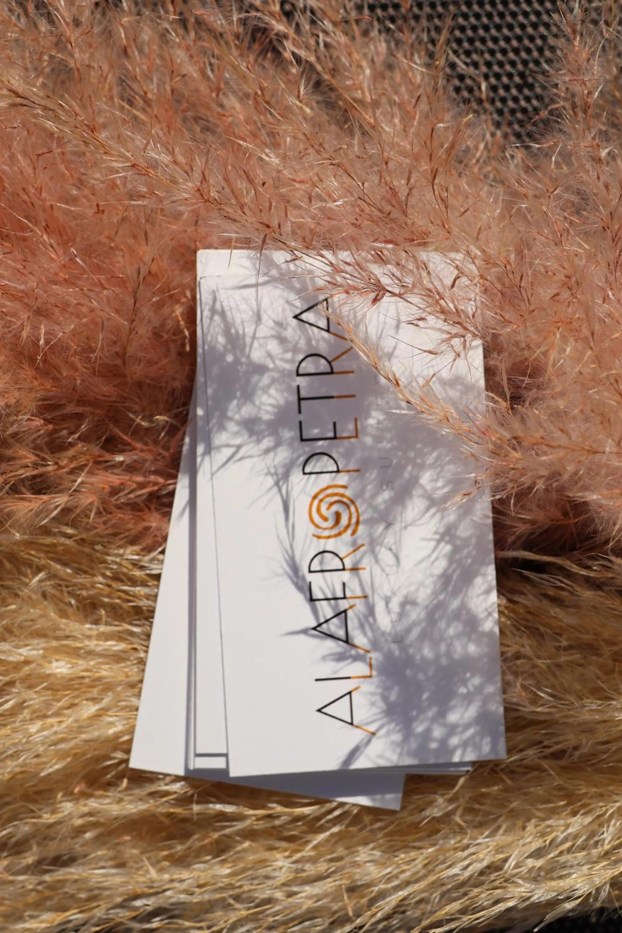 Text overlay in Alafropetra Luxury Suites