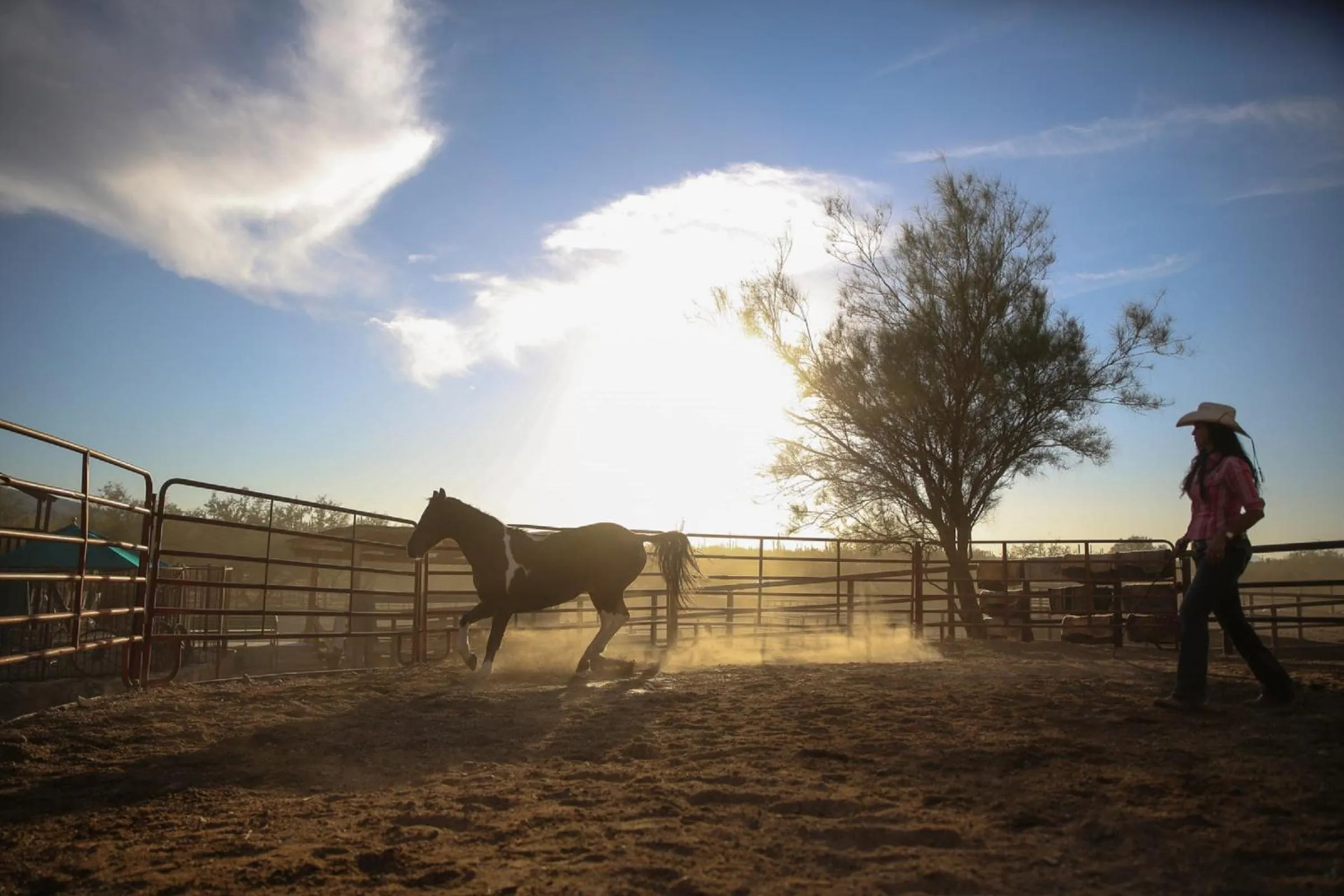 Horse-riding in Tanque Verde Guest Ranch