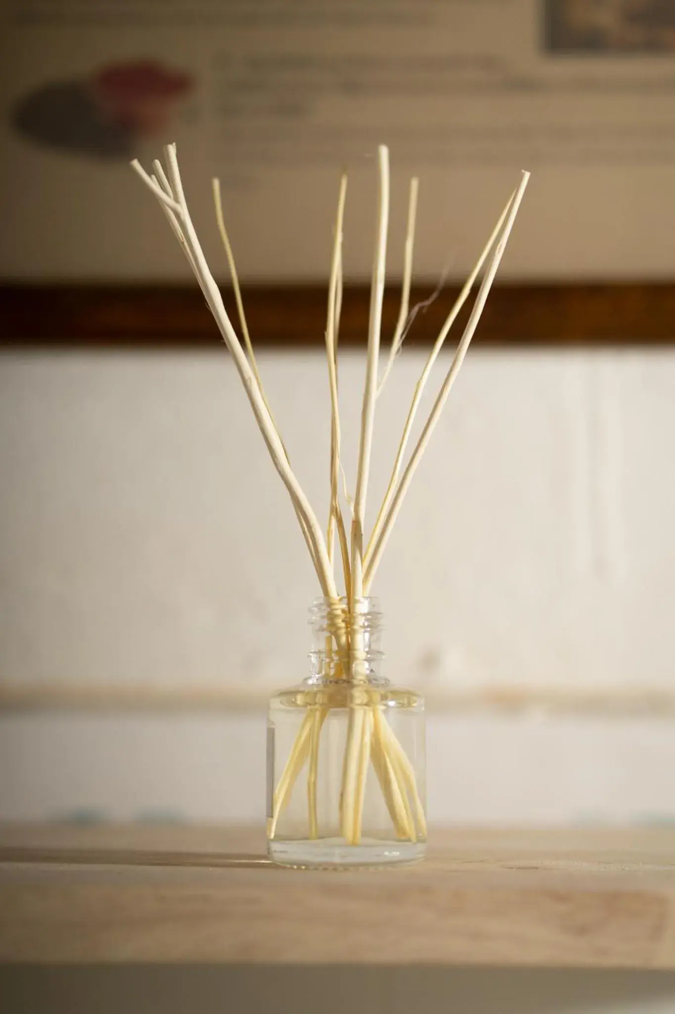 Bunk Bed in Female Dormitory Room   in Past Tense Hostel Bunk Bed in Female Dormitory Room   in Past Tense Hostel