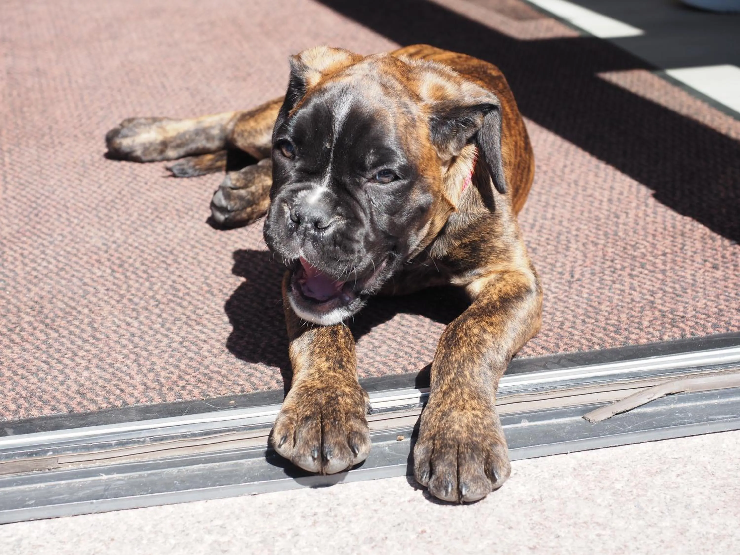 Hotel B&B Francolini