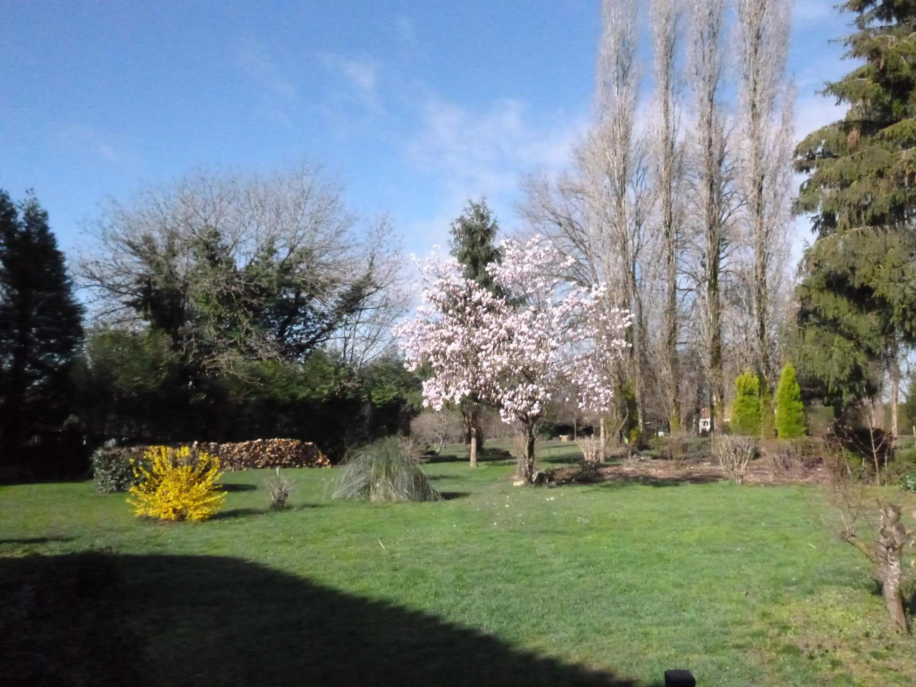 La Maison Des Fleurs