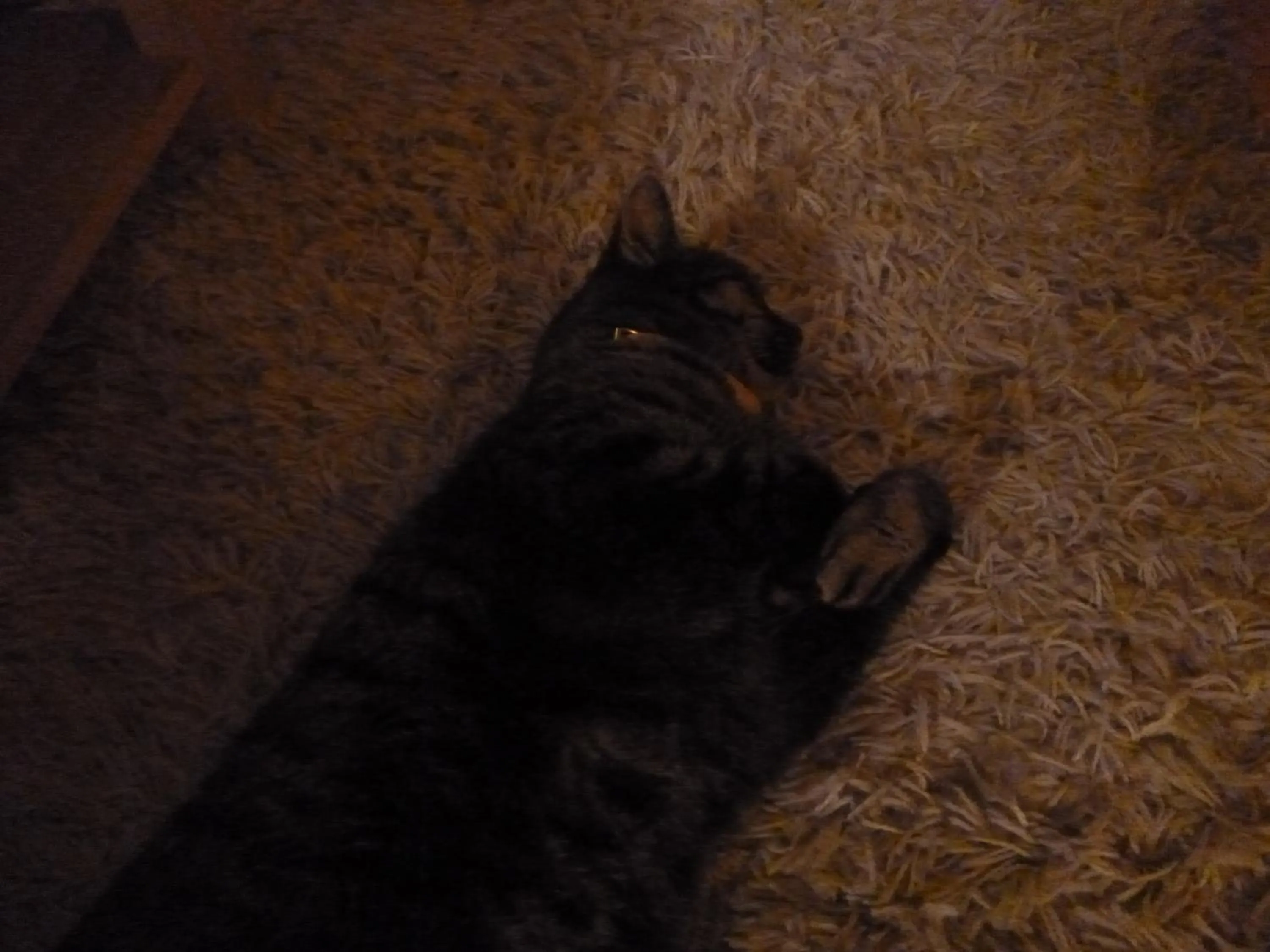 La Maison Des Fleurs