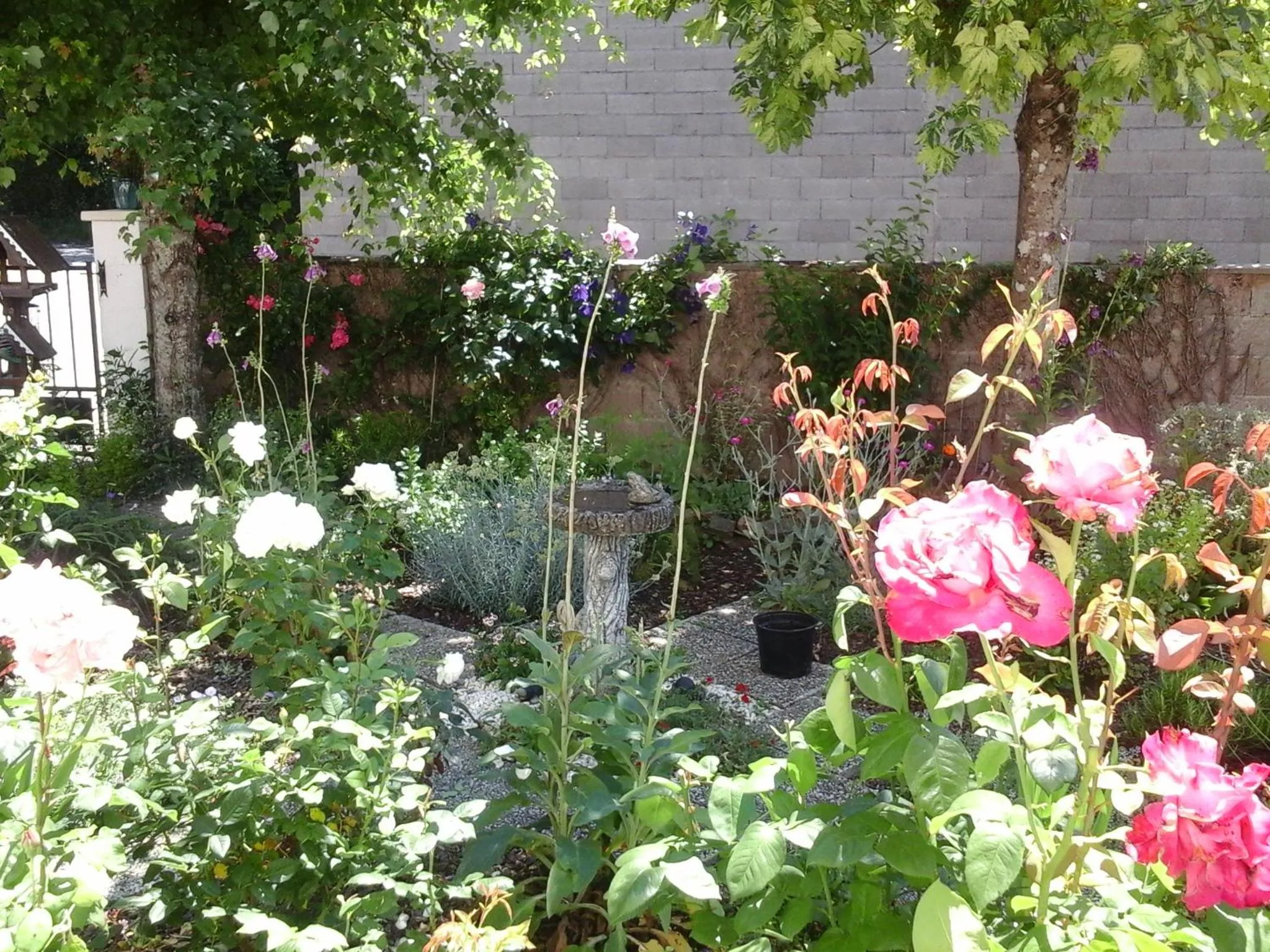 La Maison Des Fleurs