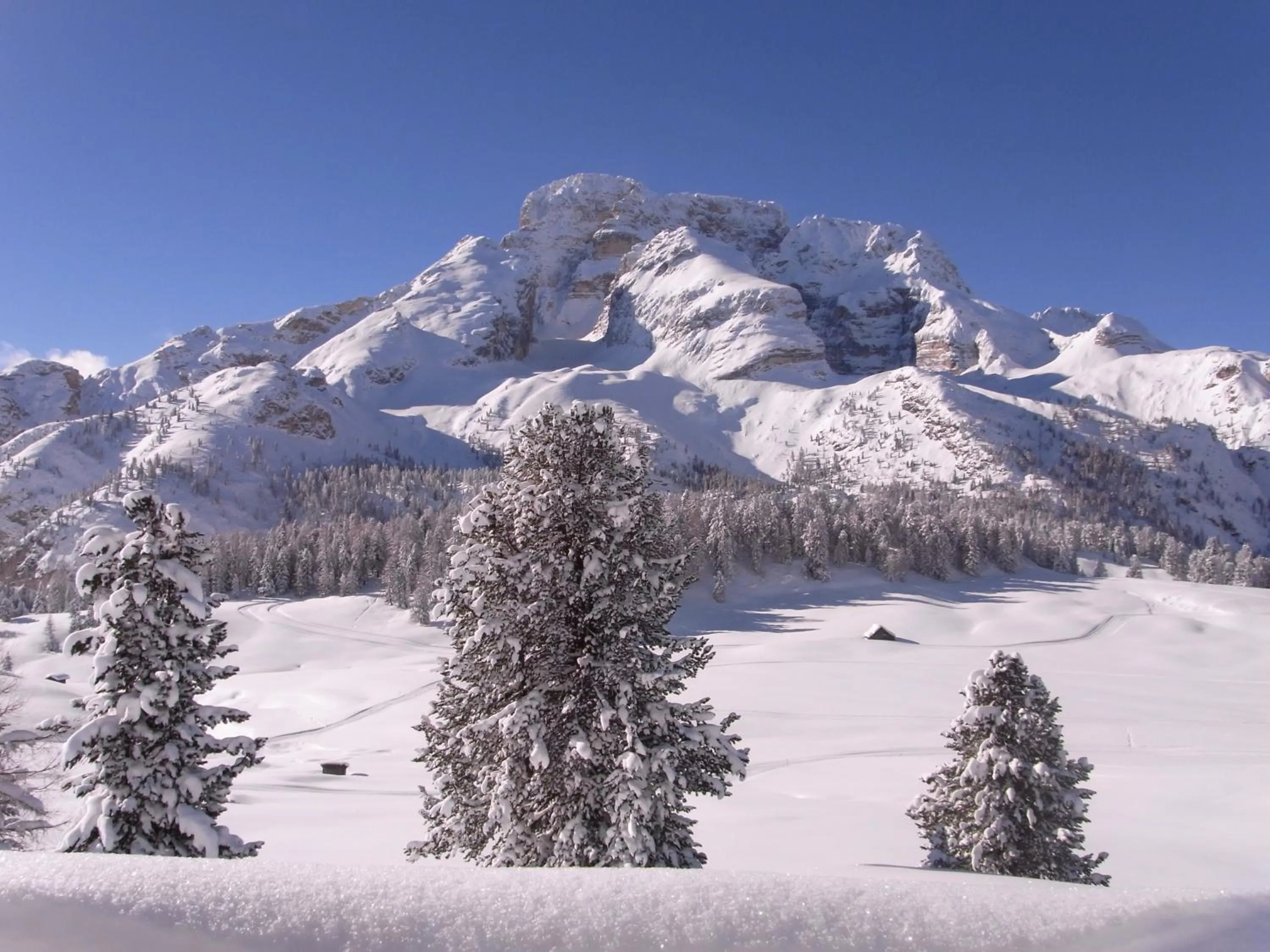 Natural landscape in Sporthotel Rasen