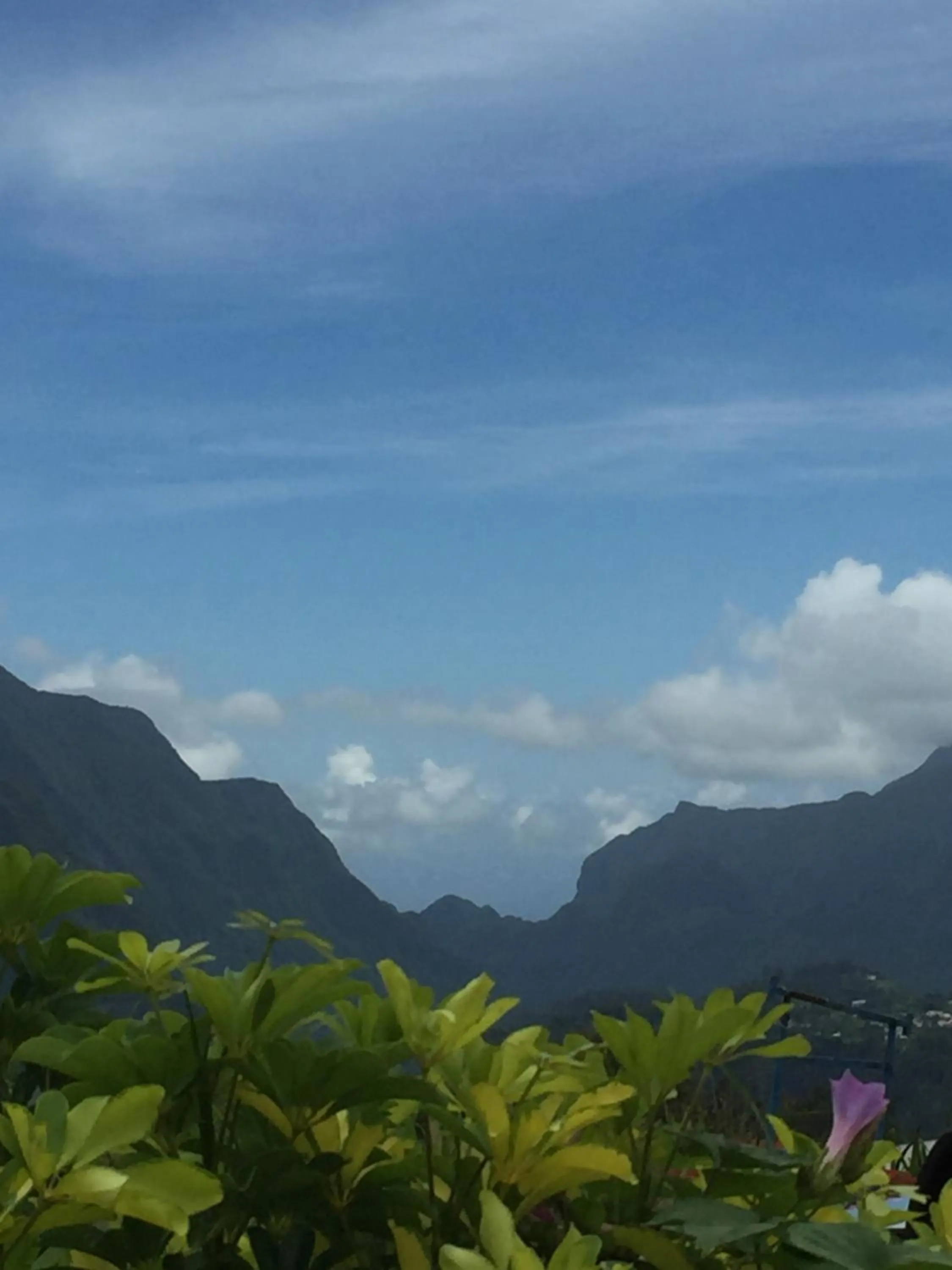 View (from property/room) in Ô cœur de l’île