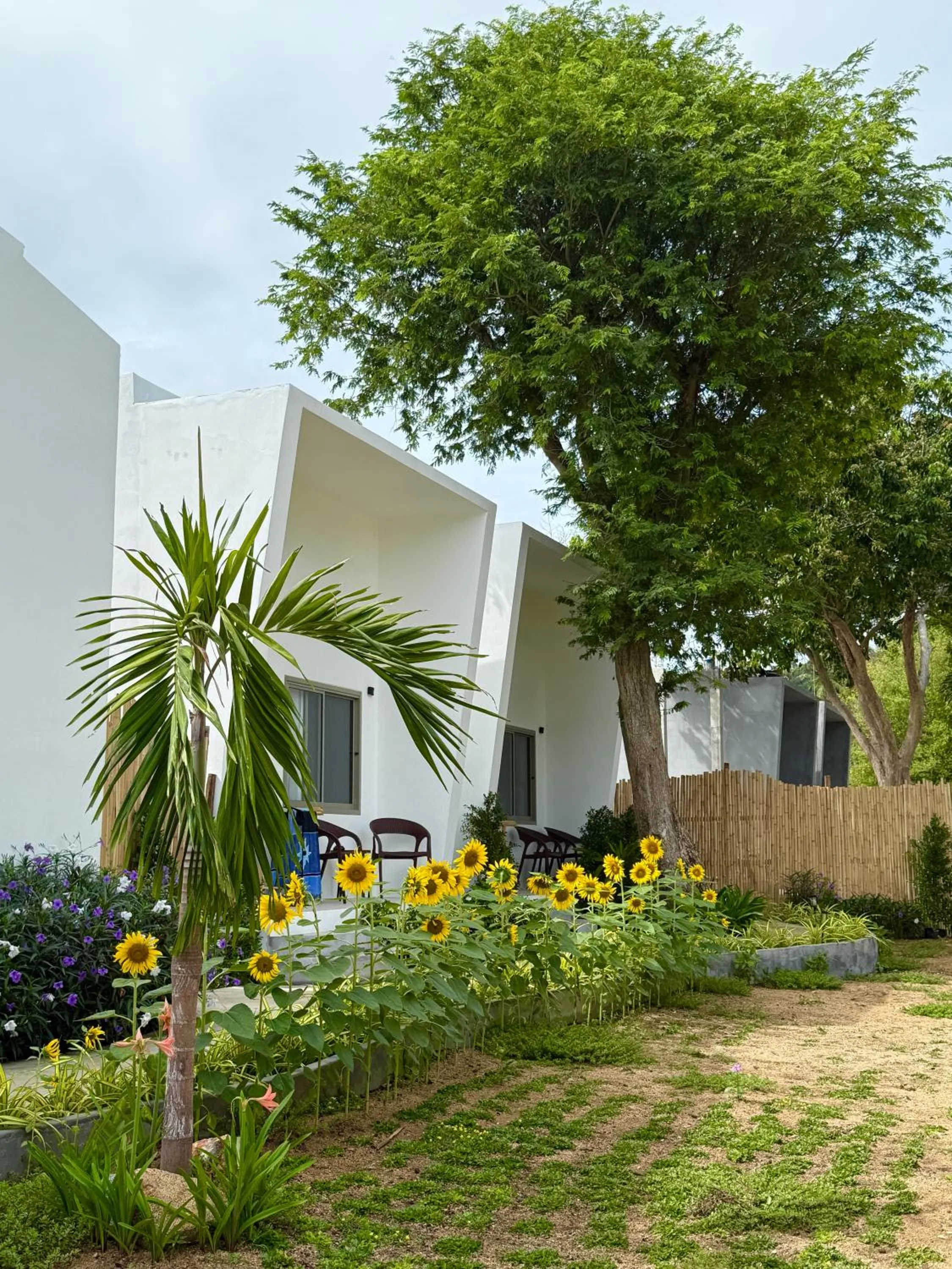 Property building in Pico Samui