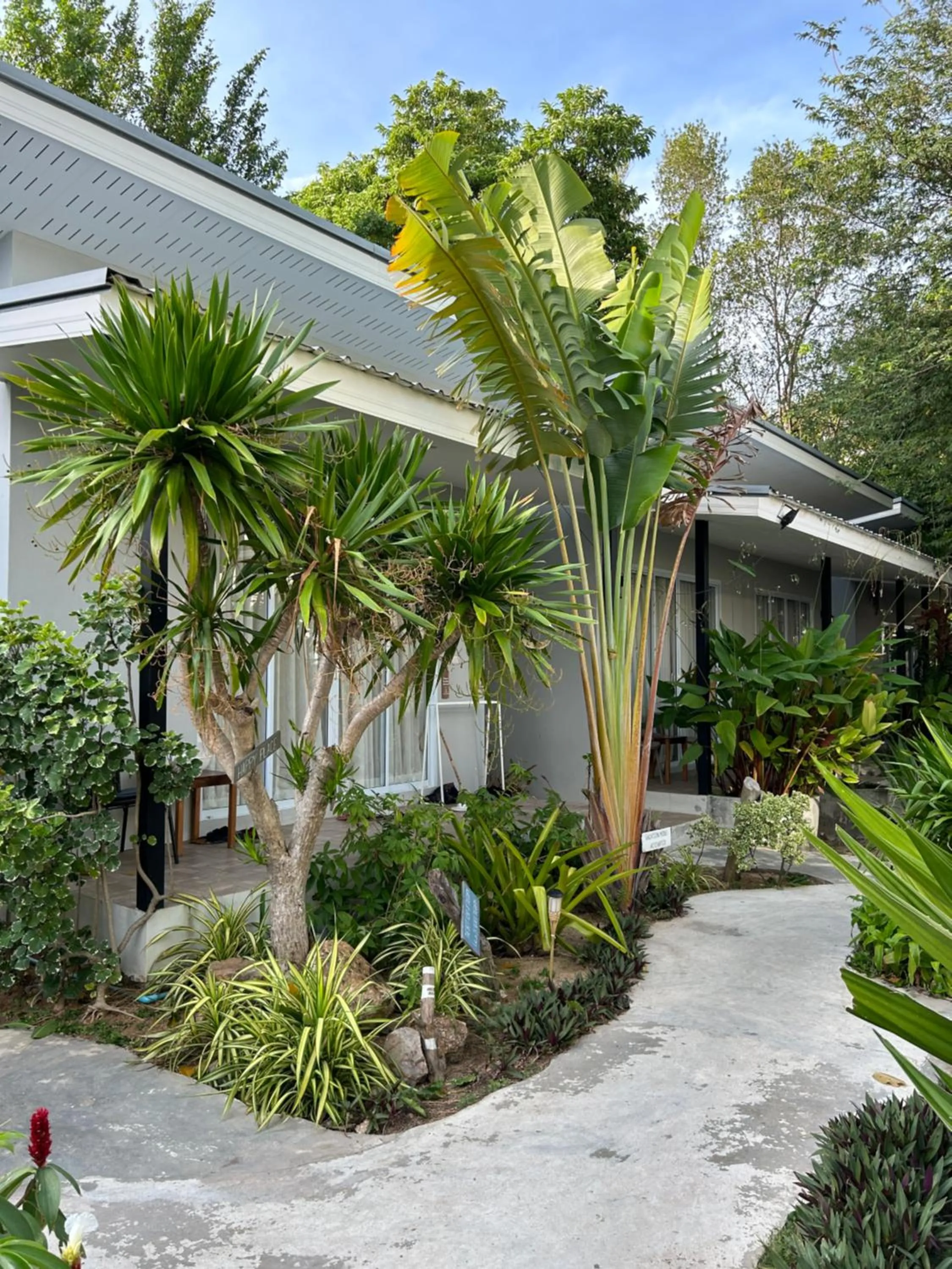 Property building in Pico Samui