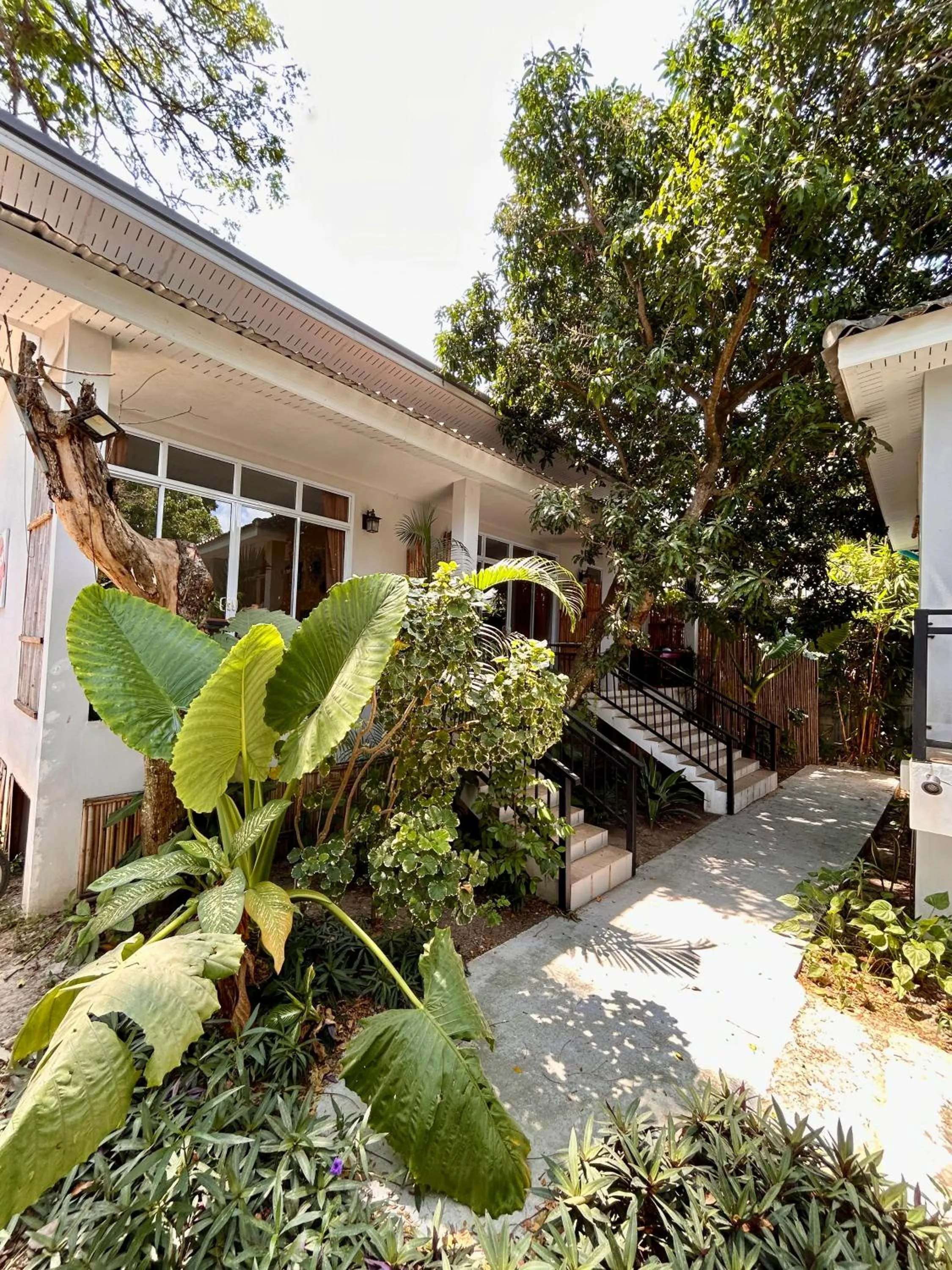 Property building in Pico Samui