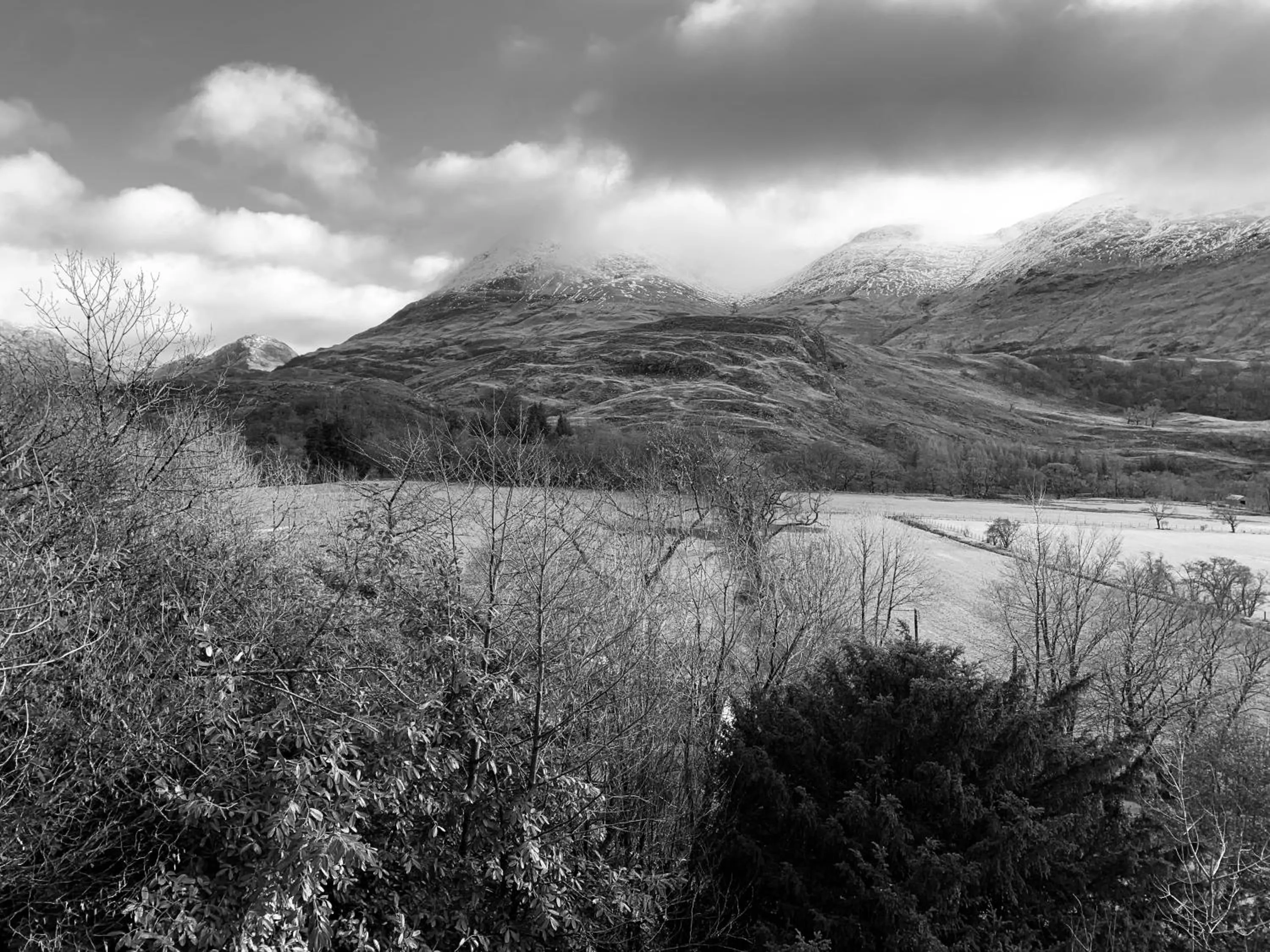 Garden view in Invercreran Lodge Luxury Bed & Breakfast