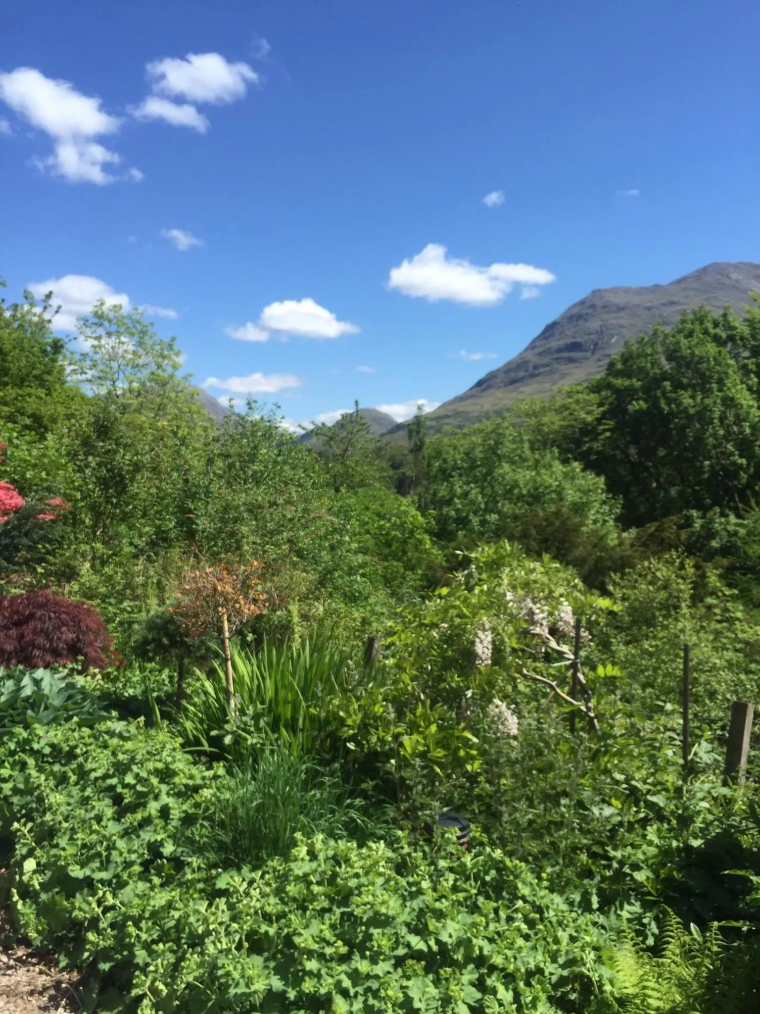 Summer in Invercreran Lodge Luxury Bed & Breakfast