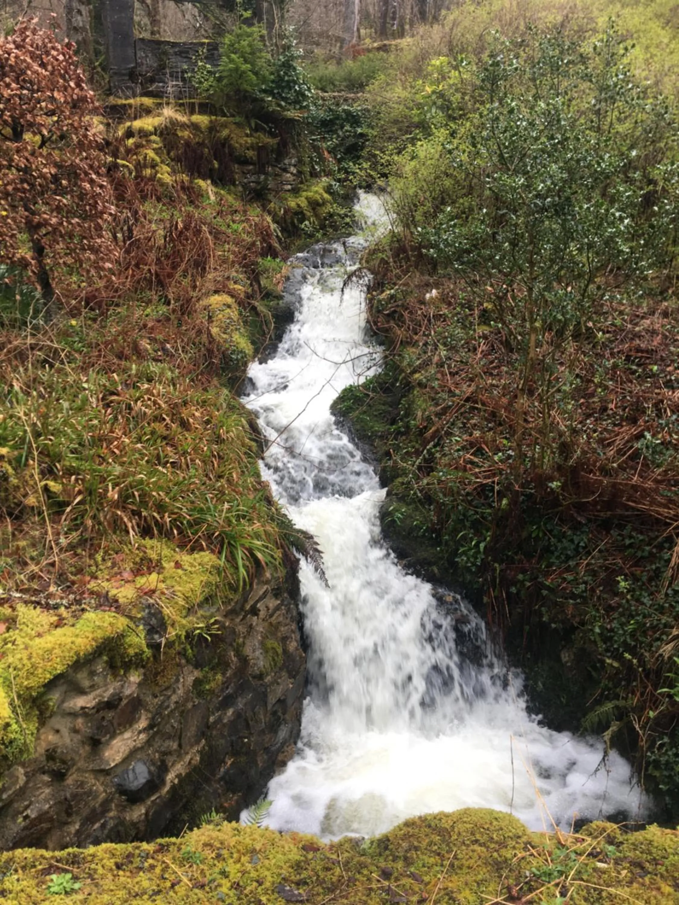 Natural landscape in Invercreran Lodge Luxury Bed & Breakfast