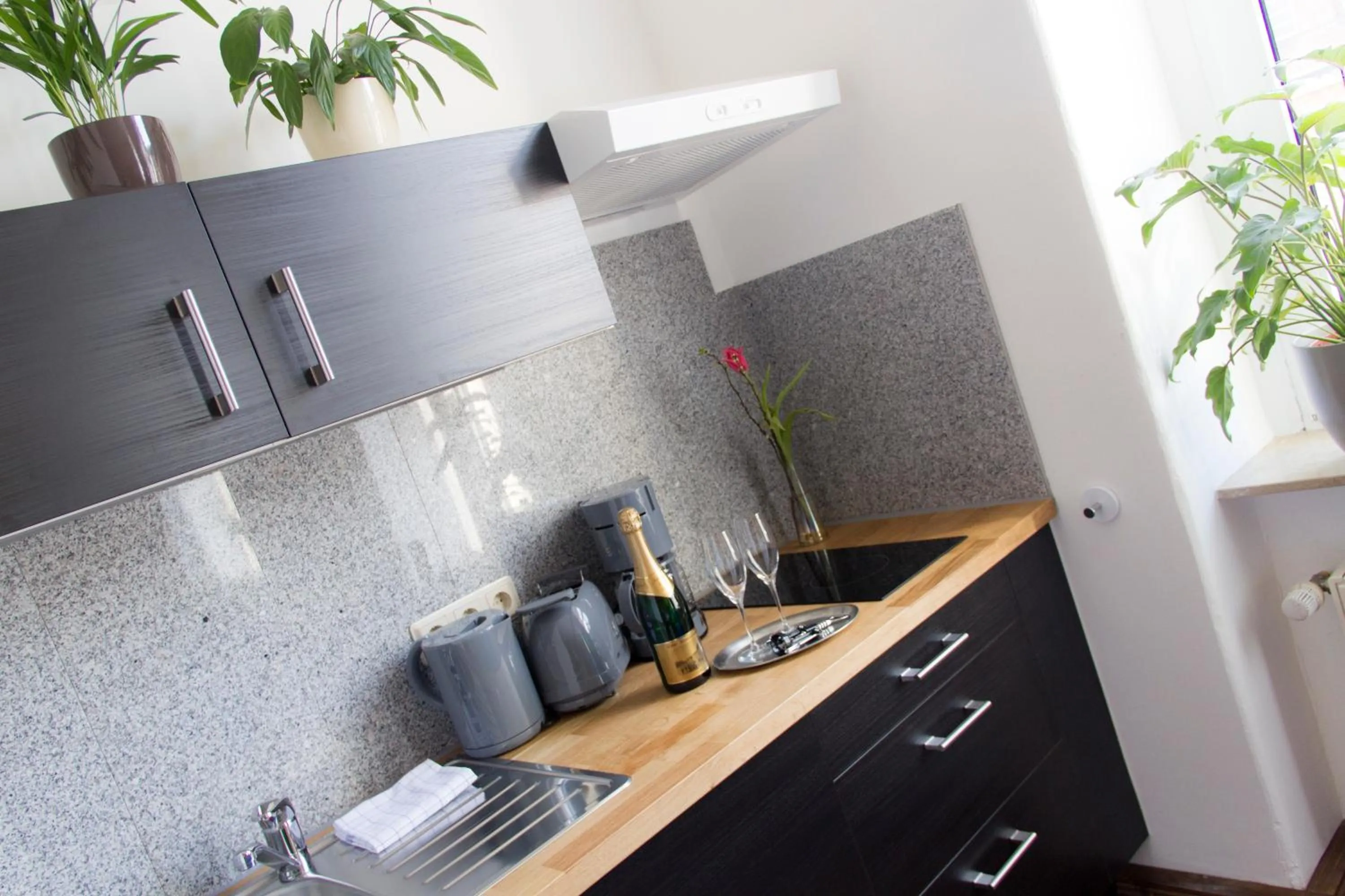 Kitchen or kitchenette in Aparthotel Mitte