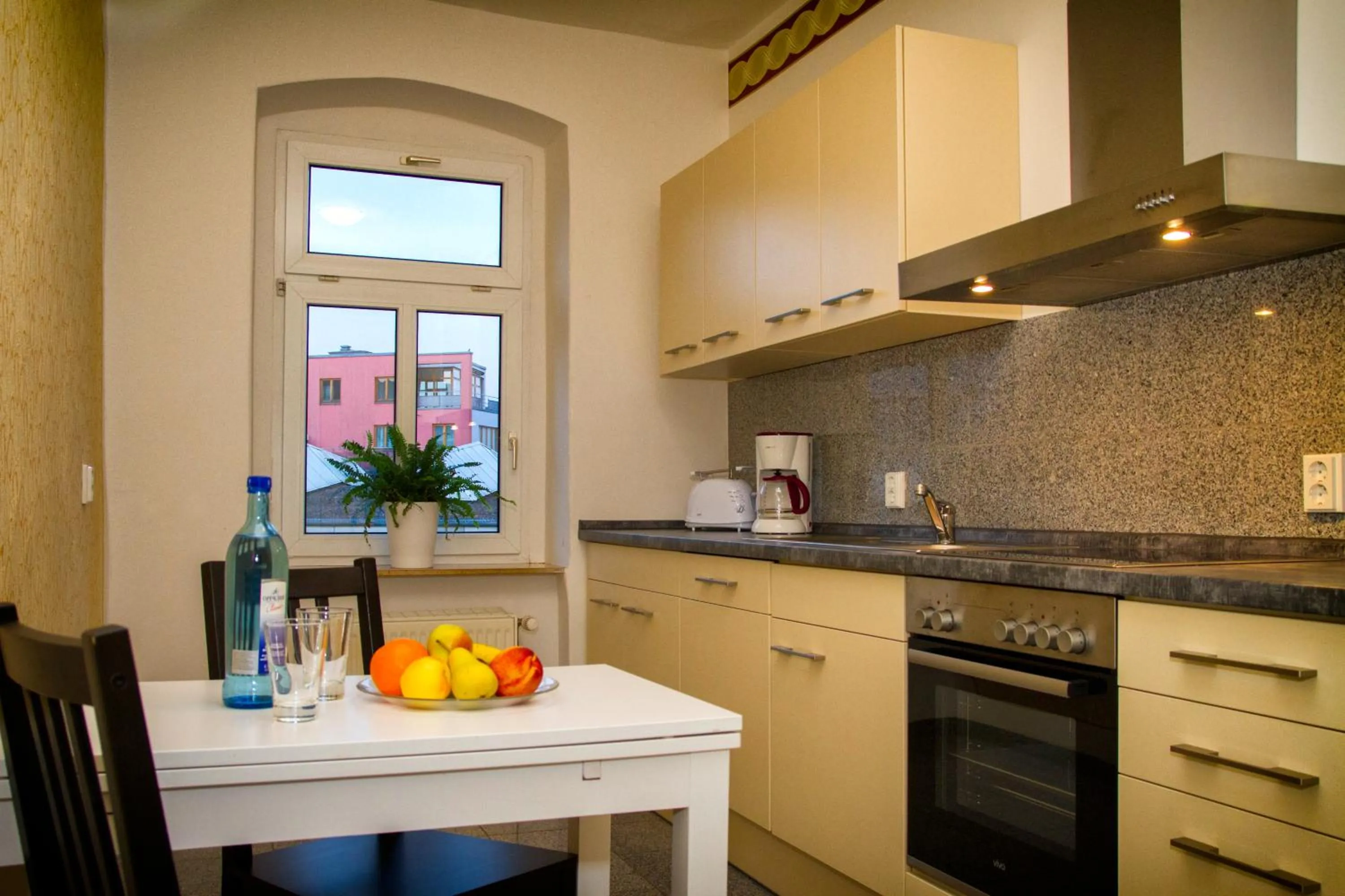 Kitchen or kitchenette in Aparthotel Mitte