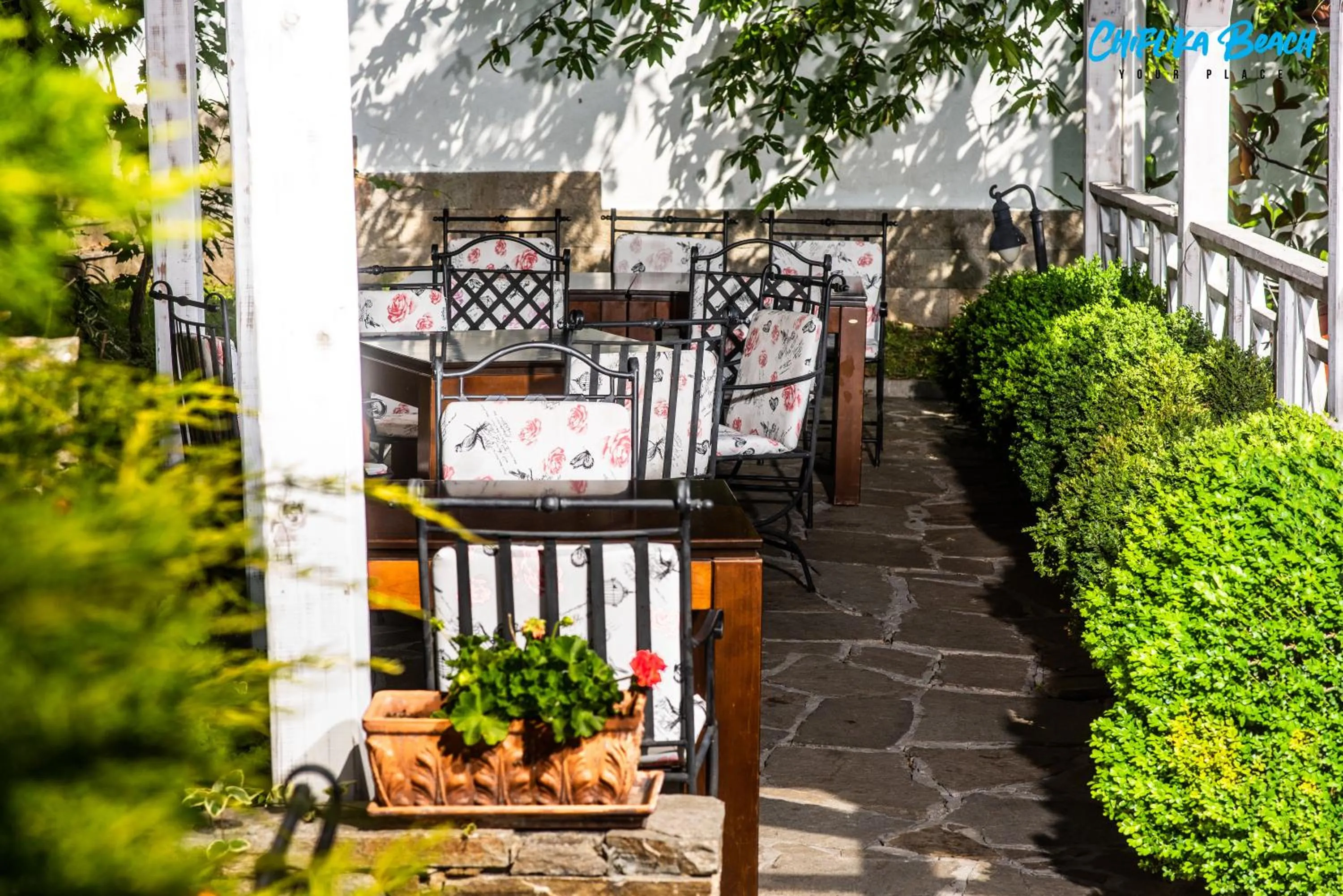 Garden in Chiflika Family Hotel