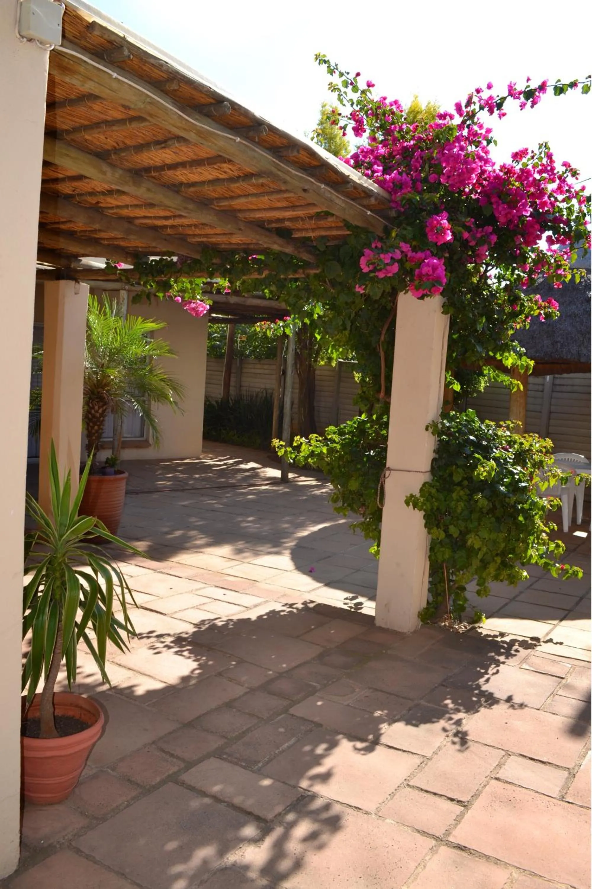 Day in Dove's Nest Guest House