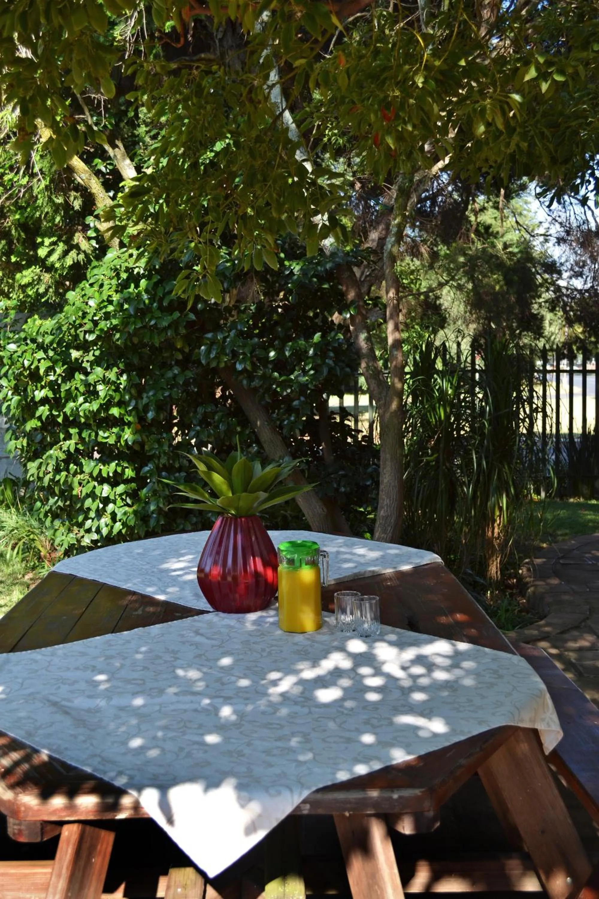 Patio in Dove's Nest Guest House