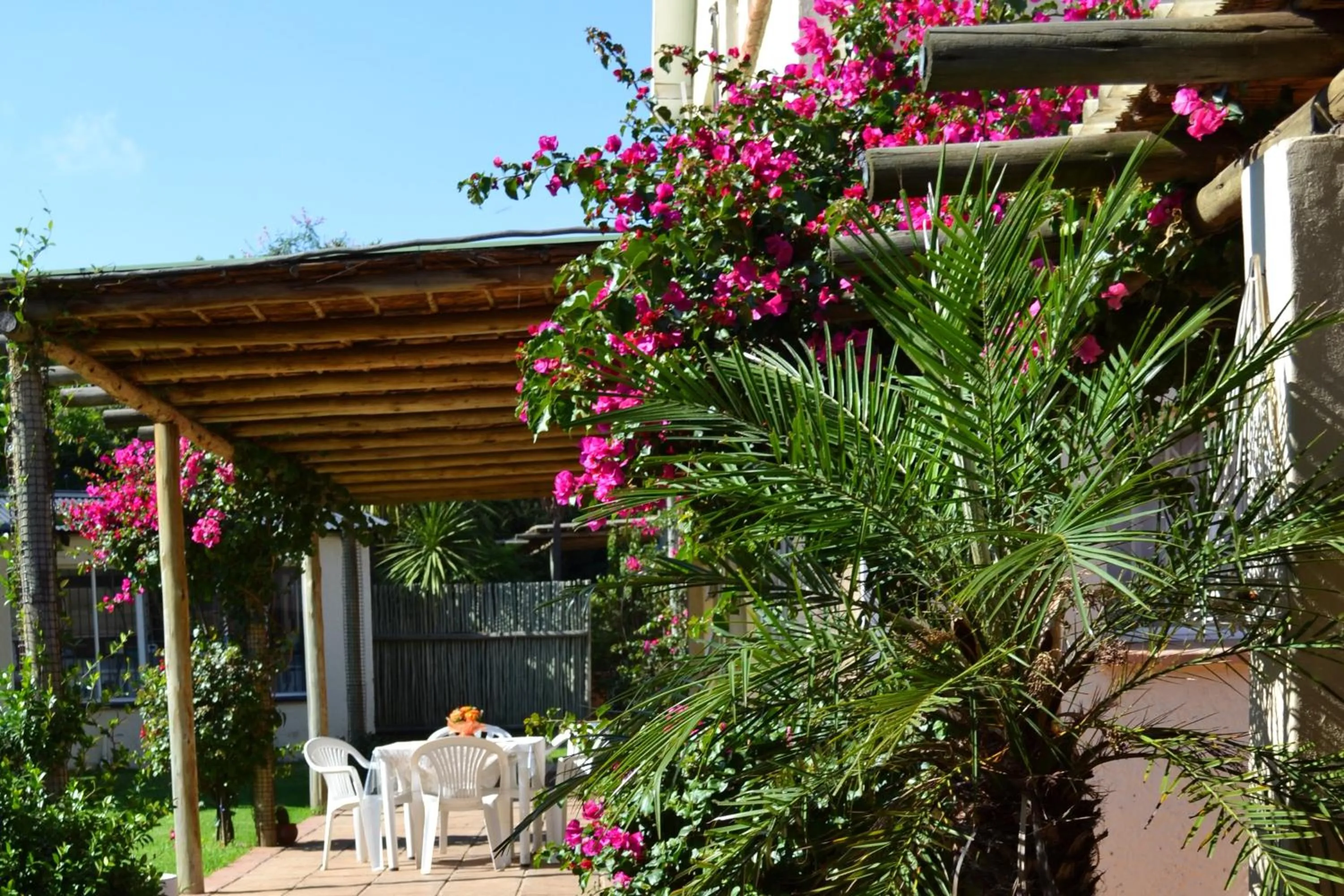 Day in Dove's Nest Guest House