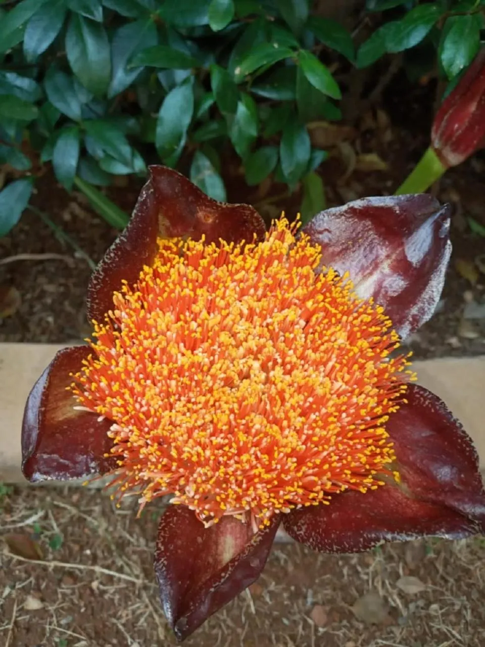 Other in Dove's Nest Guest House