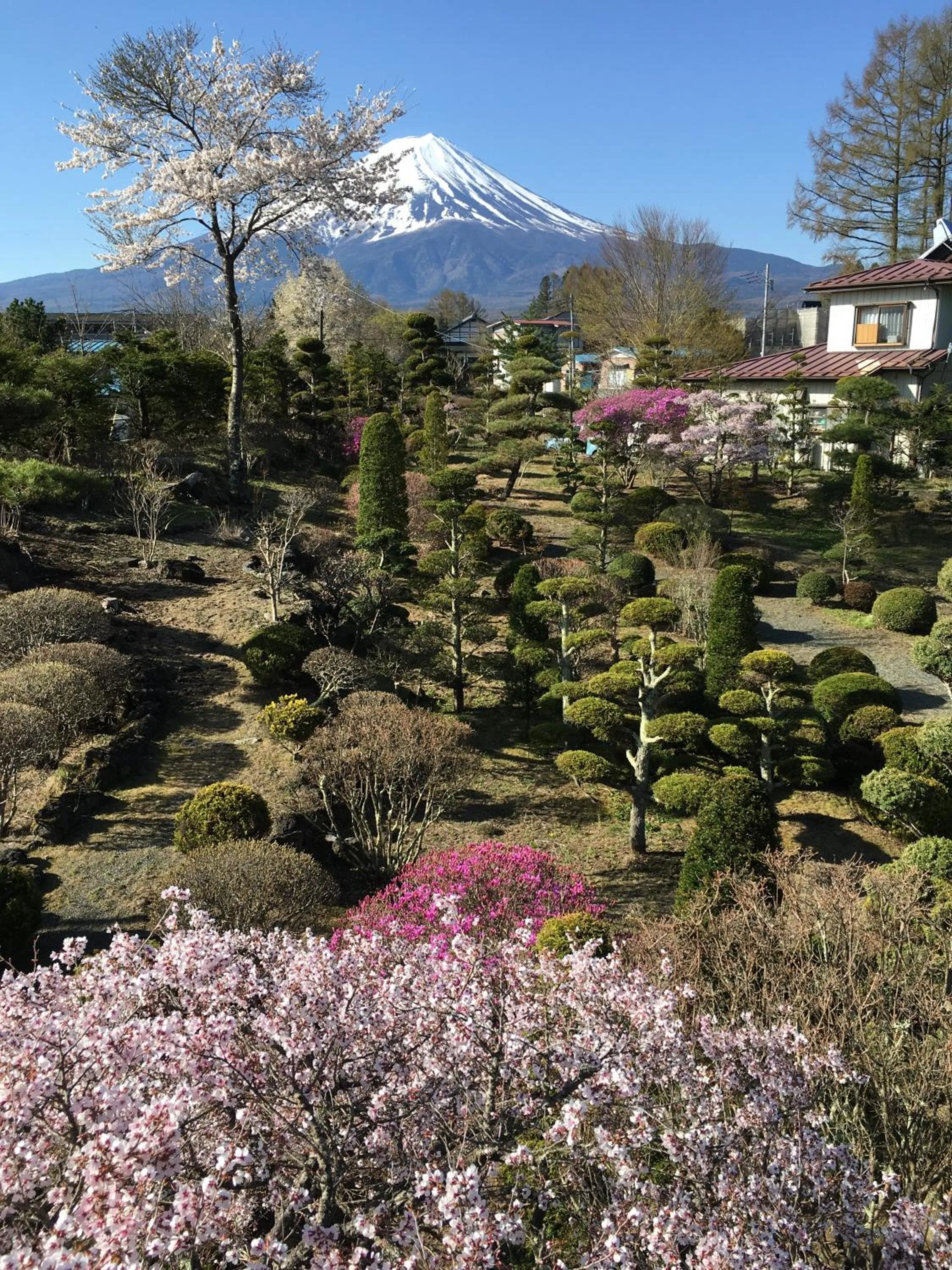 Kawaguchiko Superba Vista Annex