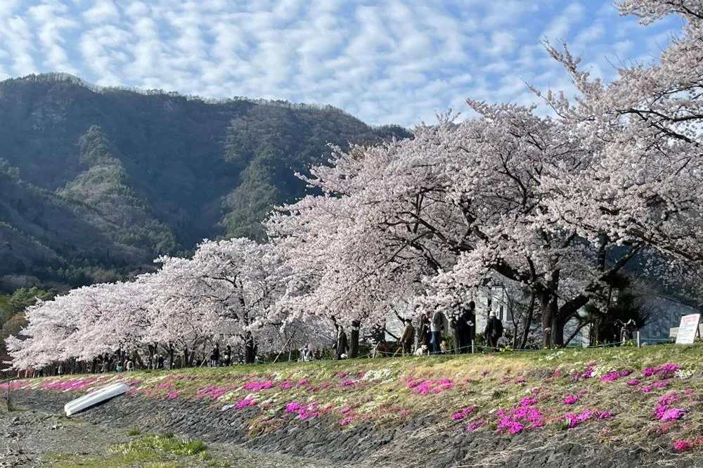 Kawaguchiko Superba Vista Annex