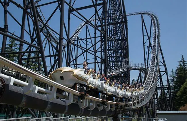 Kawaguchiko Superba Vista Annex