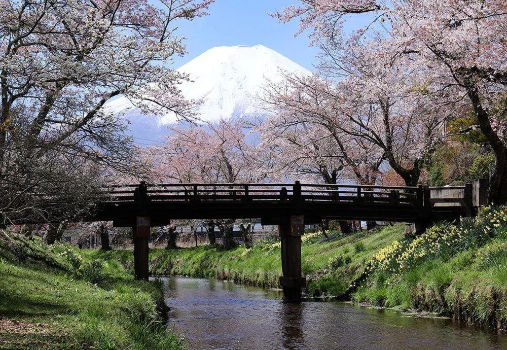 Kawaguchiko Superba Vista Annex