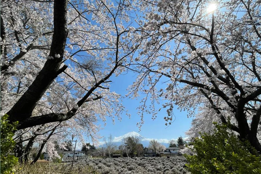 Kawaguchiko Superba Vista Annex