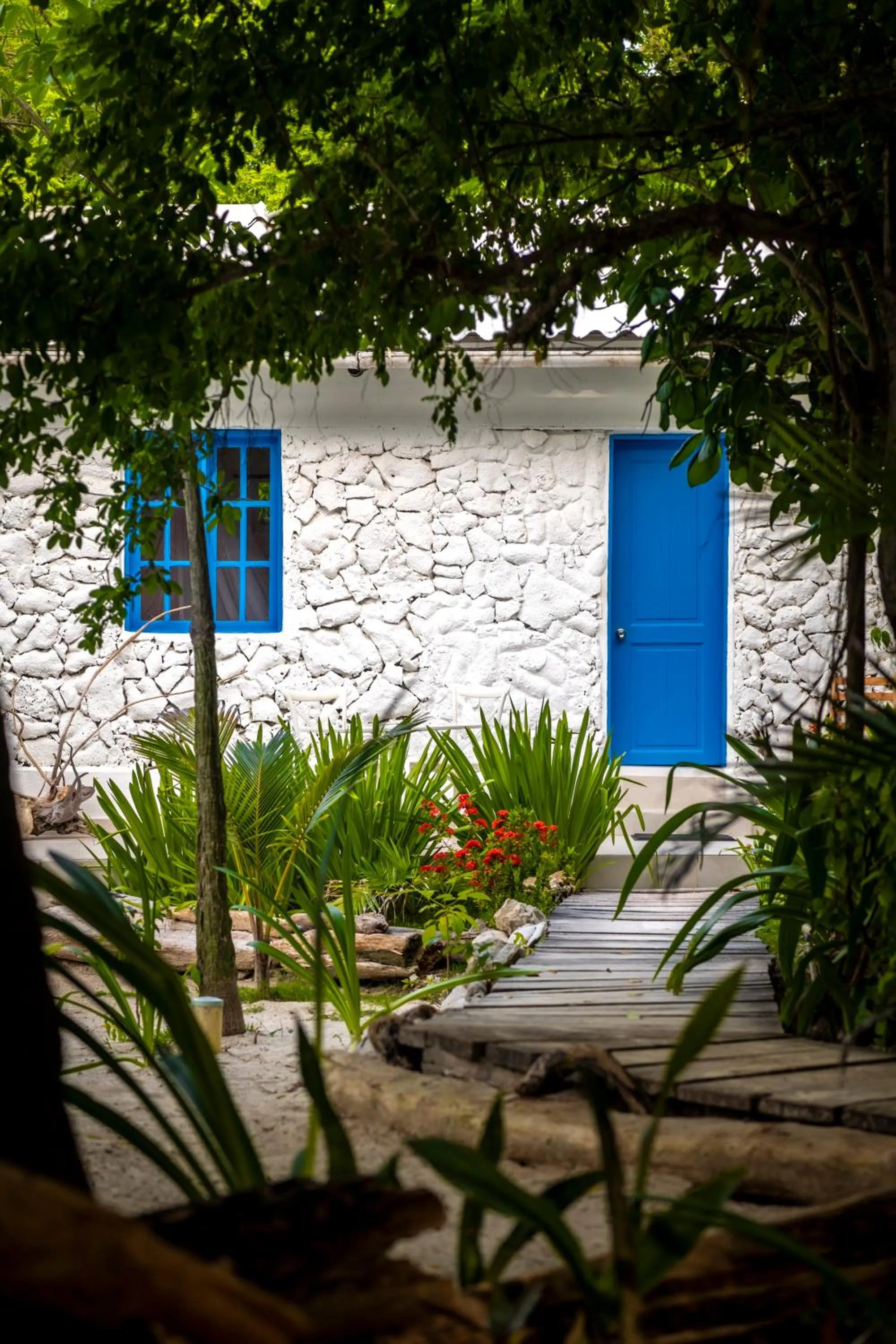 Area and facilities in Hotel Coralina Island