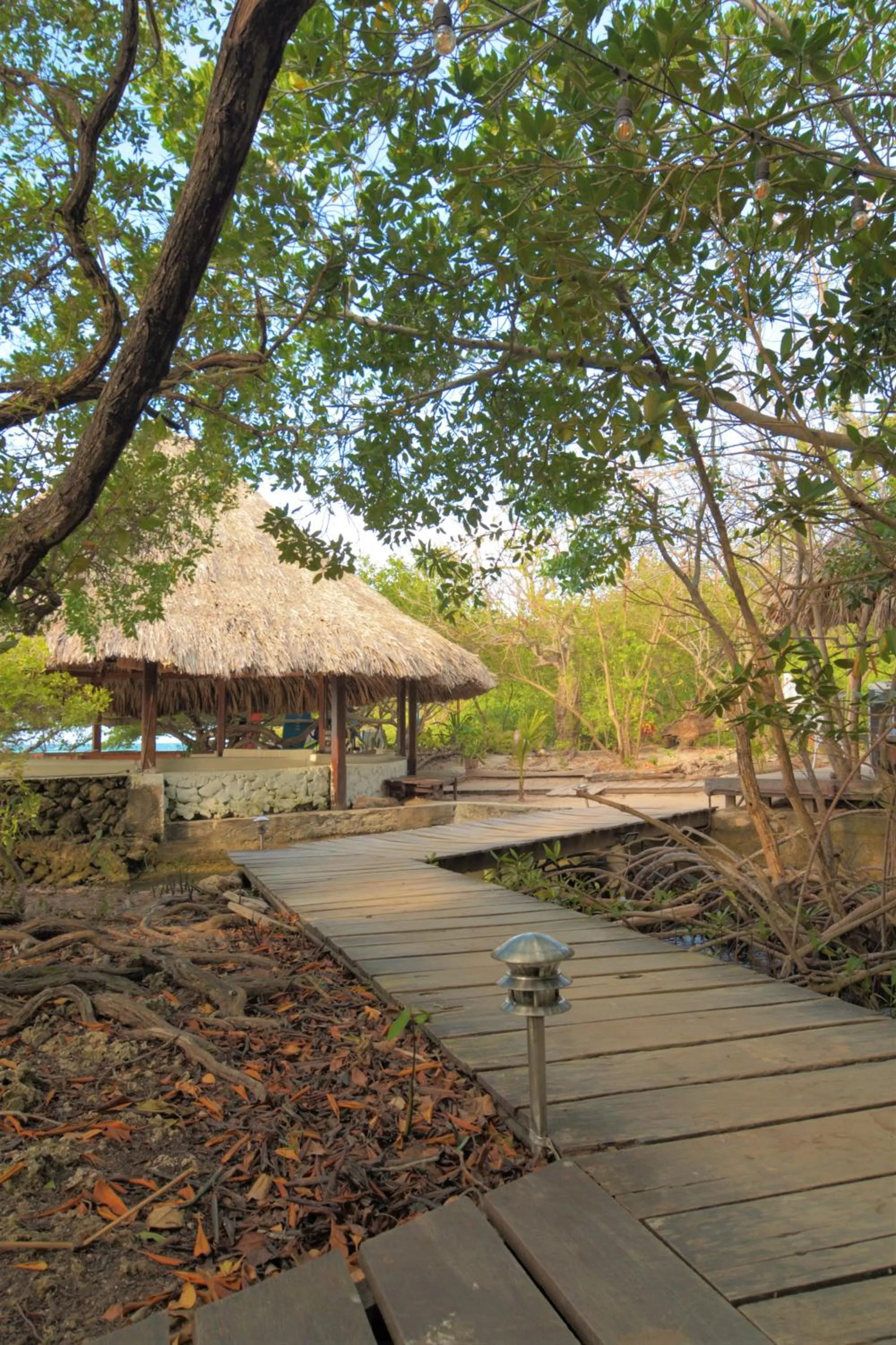 Hiking in Hotel Coralina Island