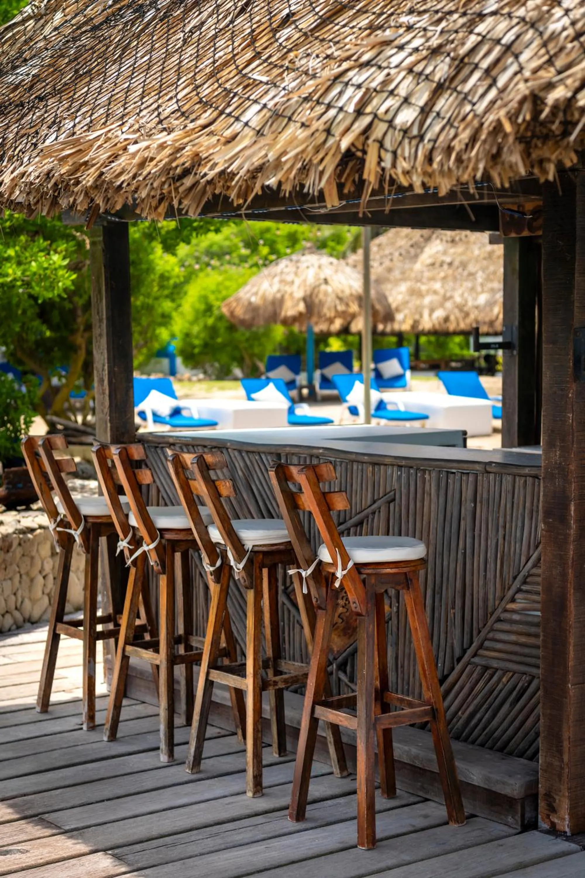 Lounge or bar in Hotel Coralina Island