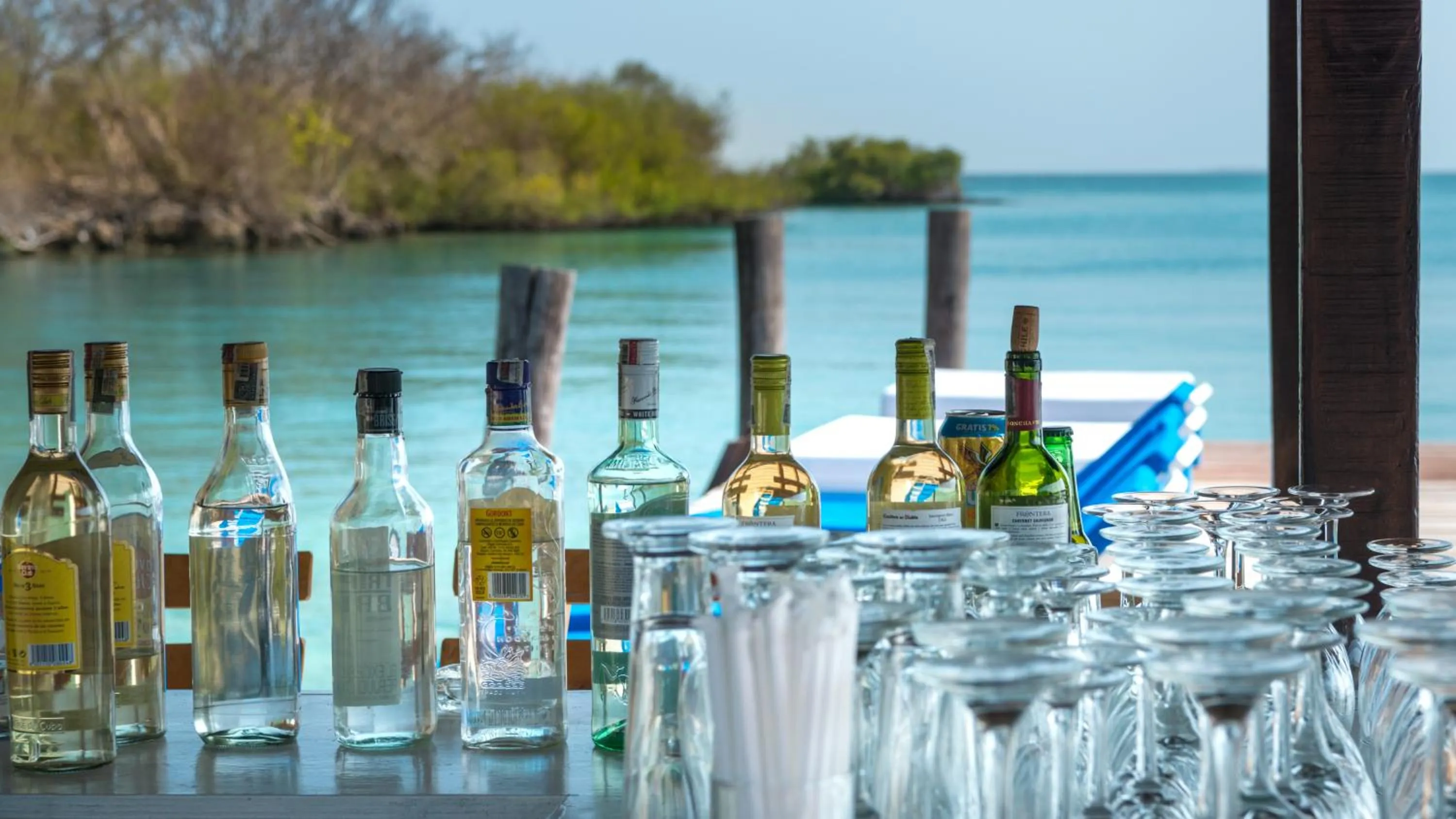 Lounge or bar in Hotel Coralina Island