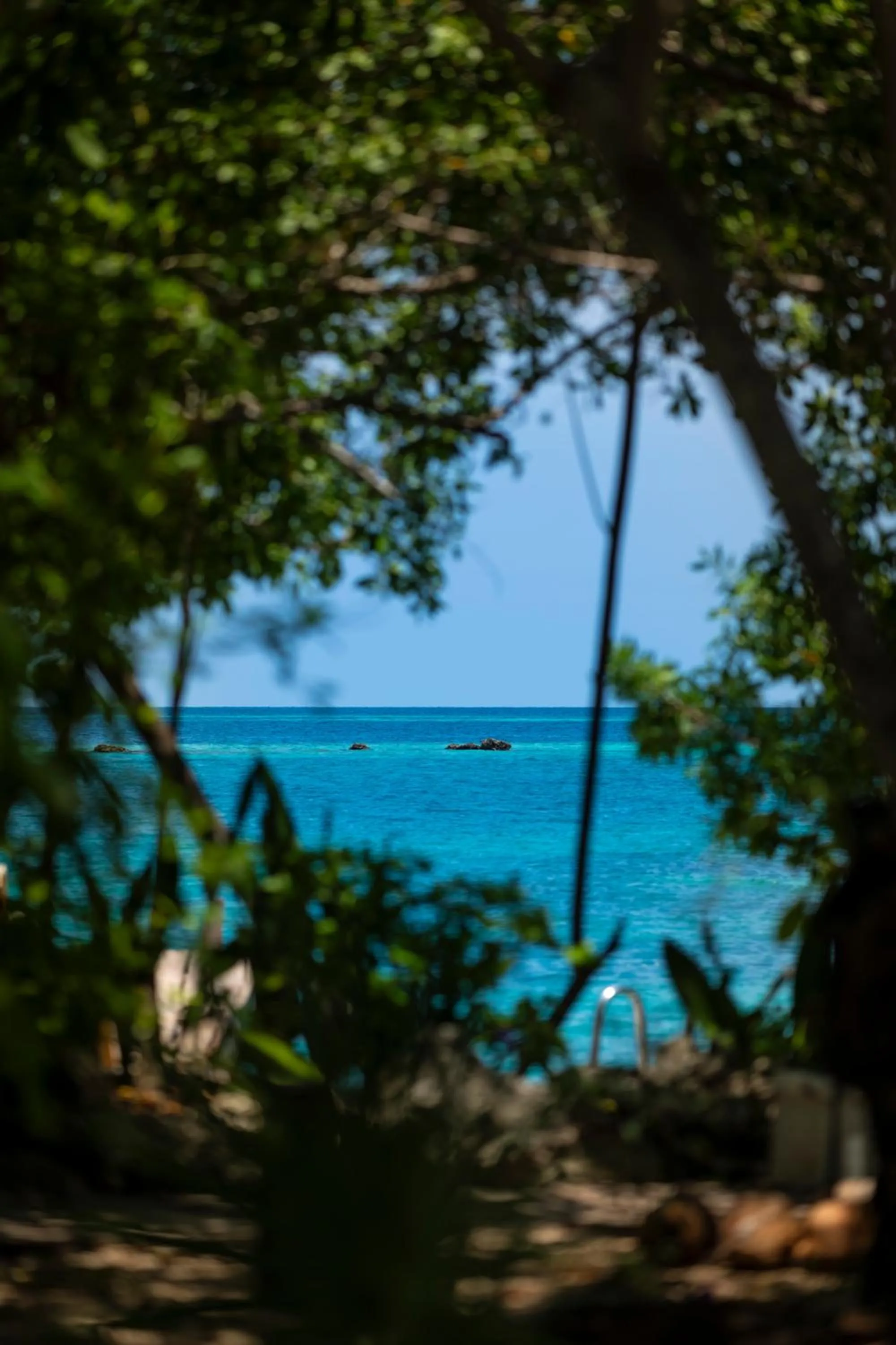 Natural landscape in Hotel Coralina Island