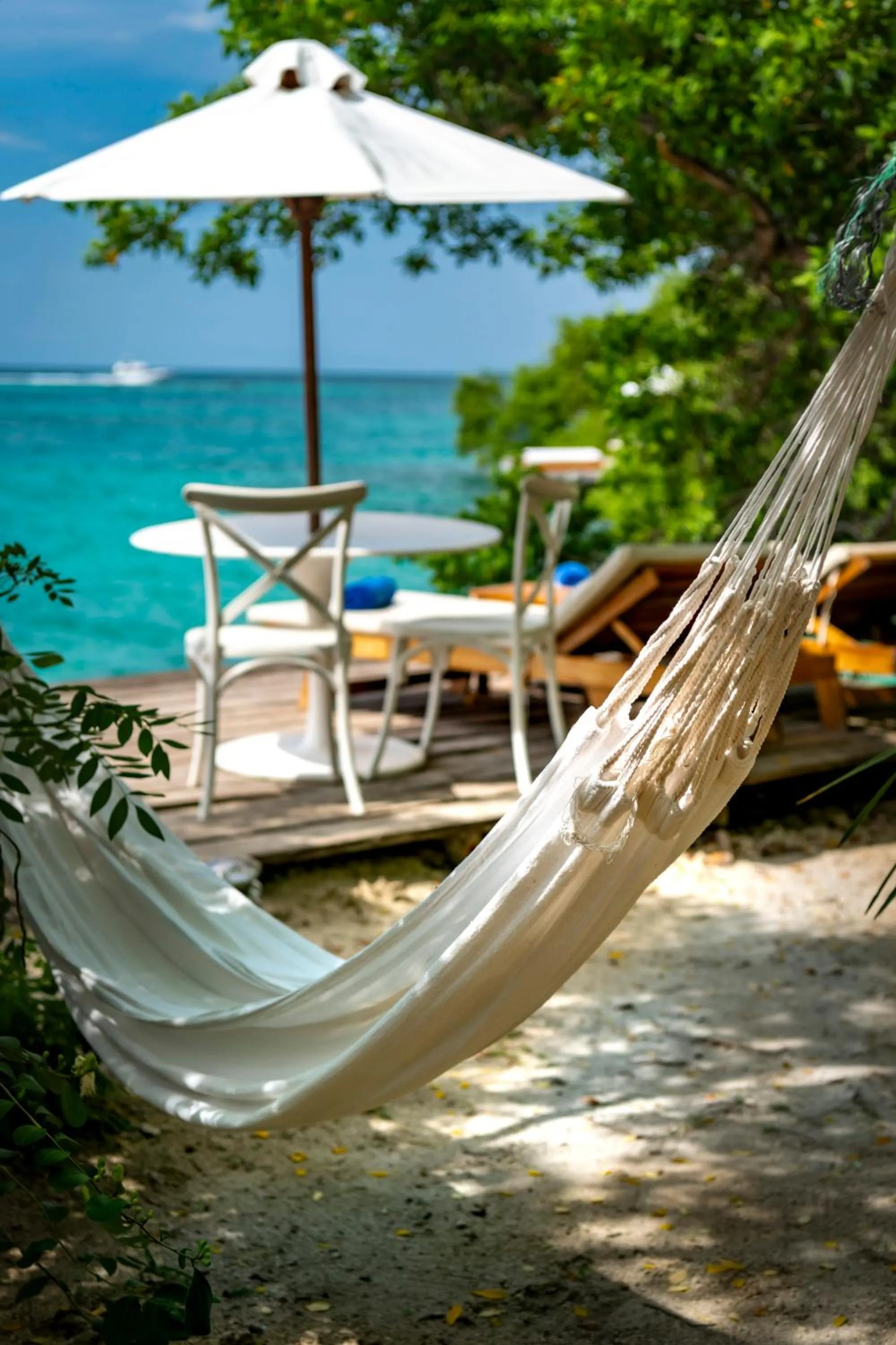 Natural landscape in Hotel Coralina Island