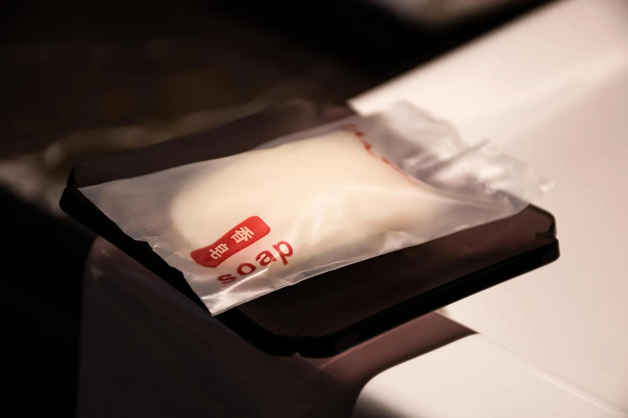 Decorative detail in Ramada Plaza Wyndham Wenzhou Cangnan