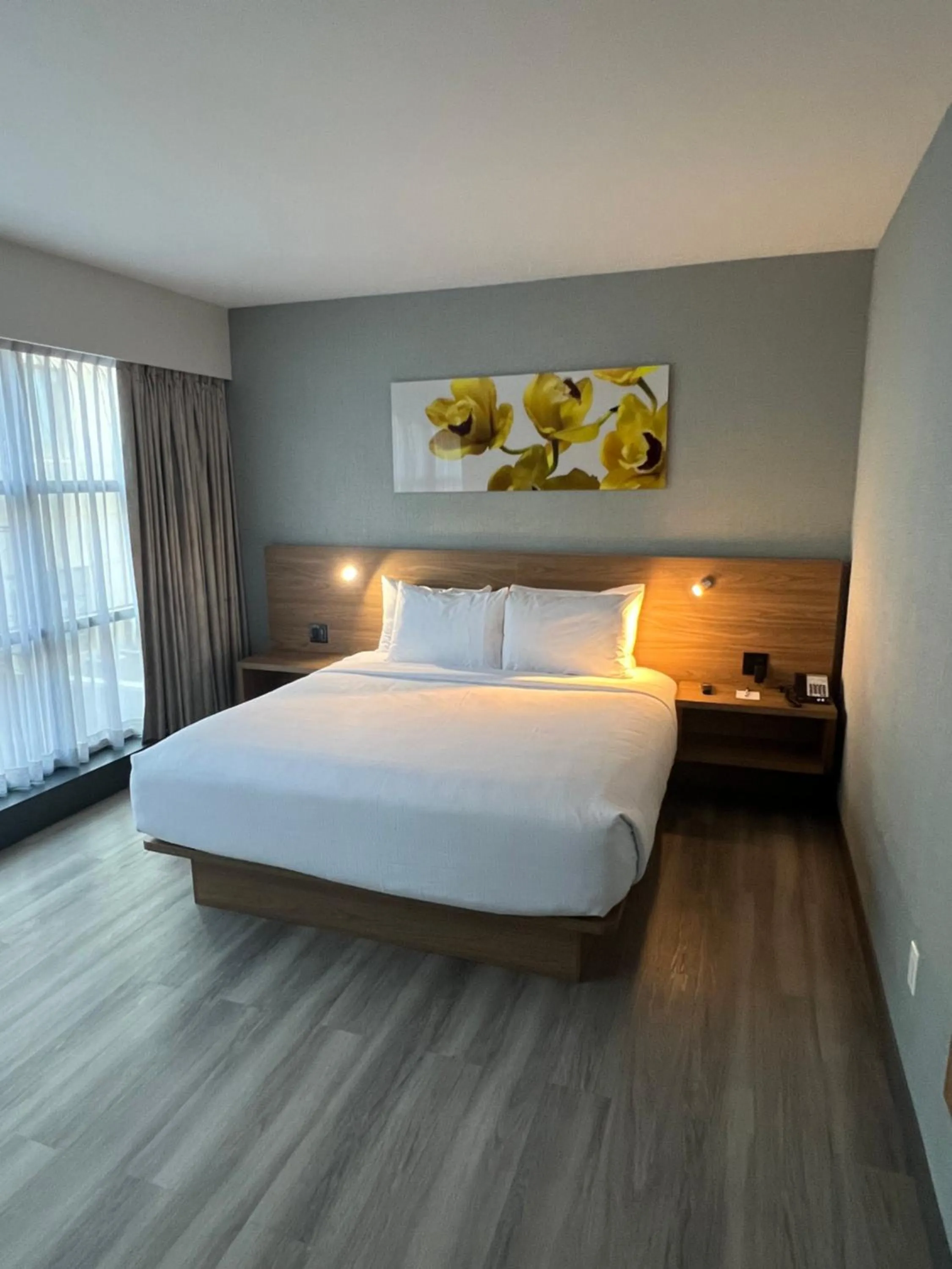 Bed in Wingate by Wyndham Long Island City