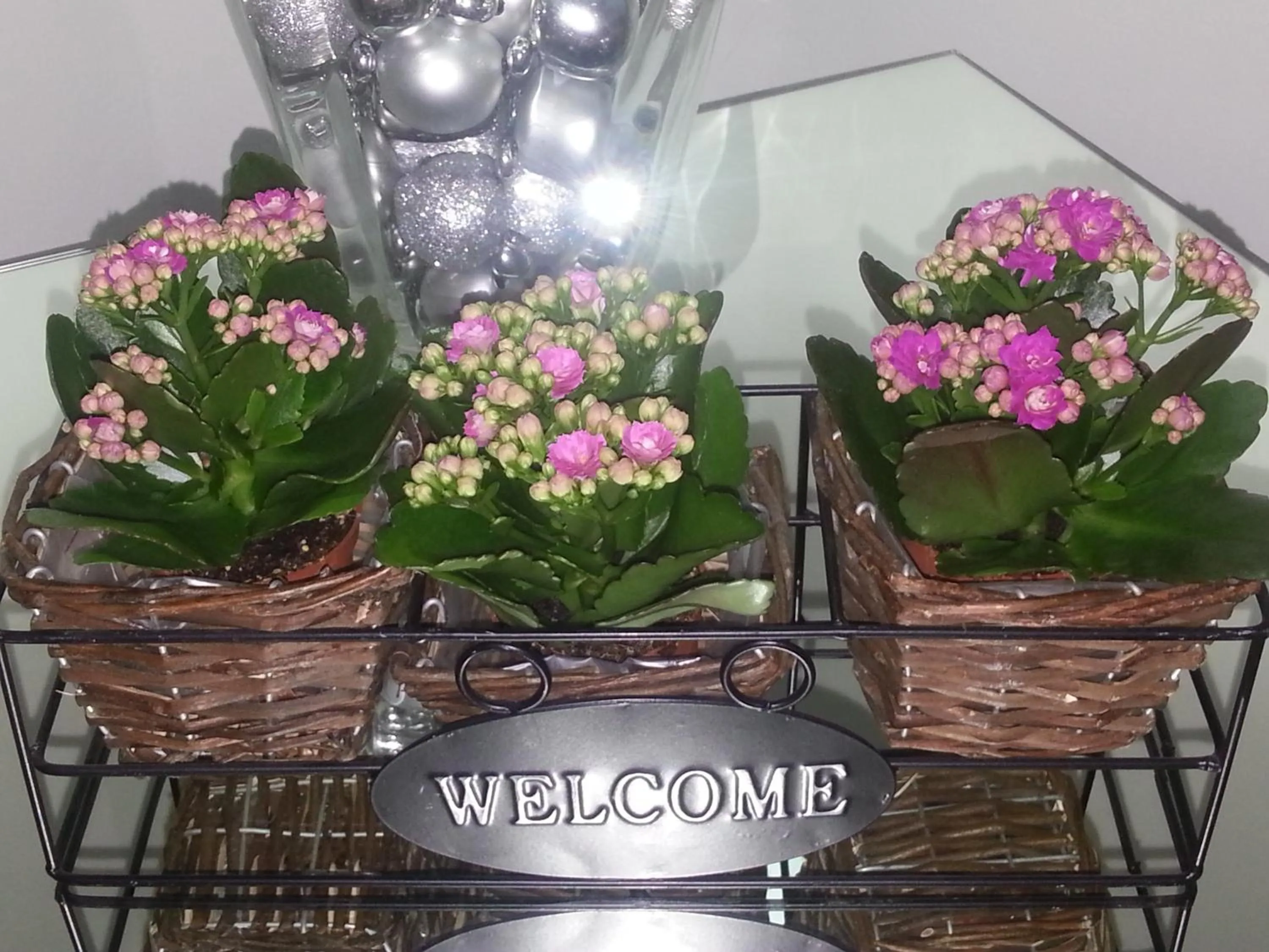 Decorative detail in Hotel Nuovo Nord