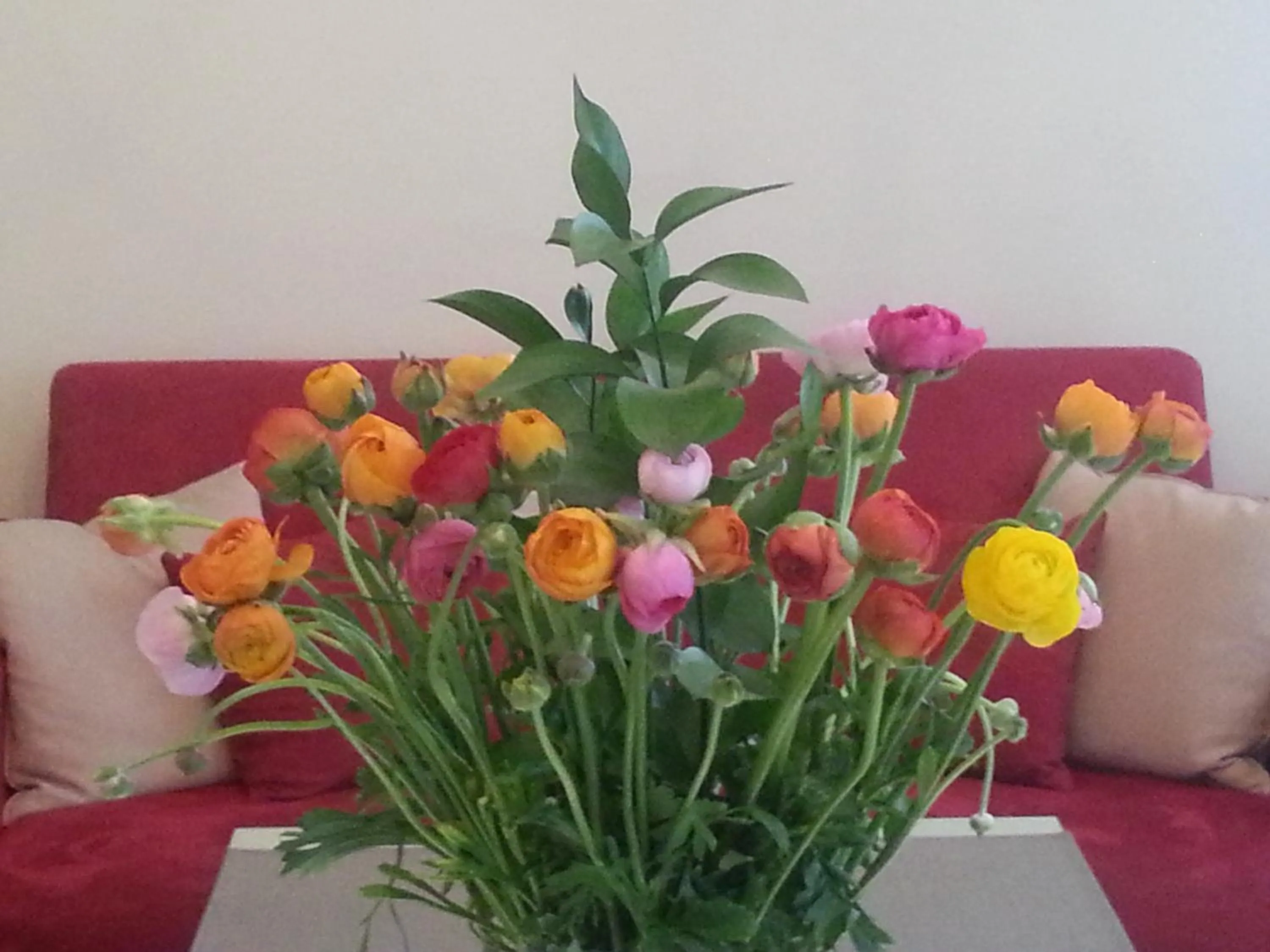 Decorative detail in Hotel Nuovo Nord