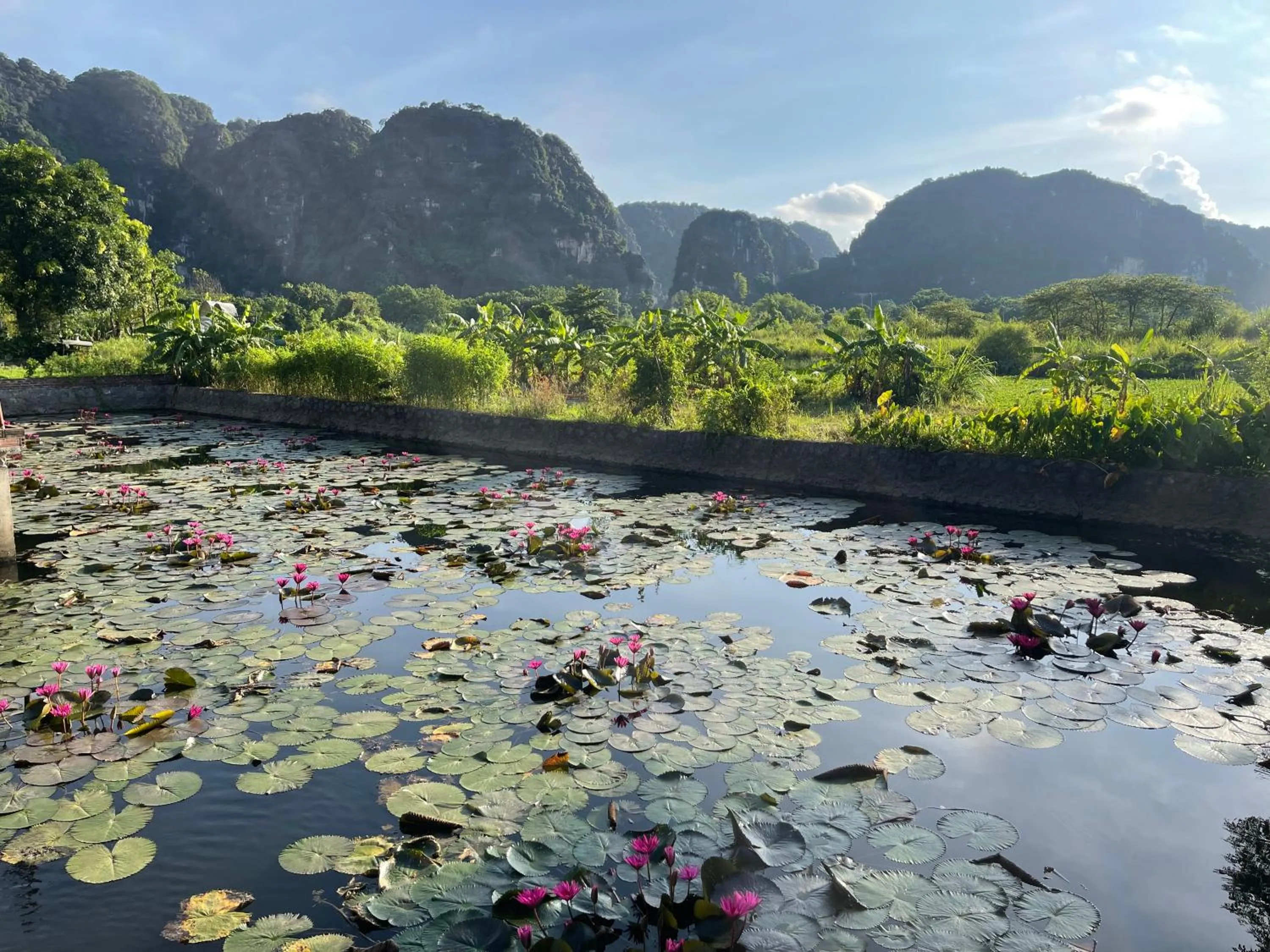 Day in Trang An Lotus Lake Homestay