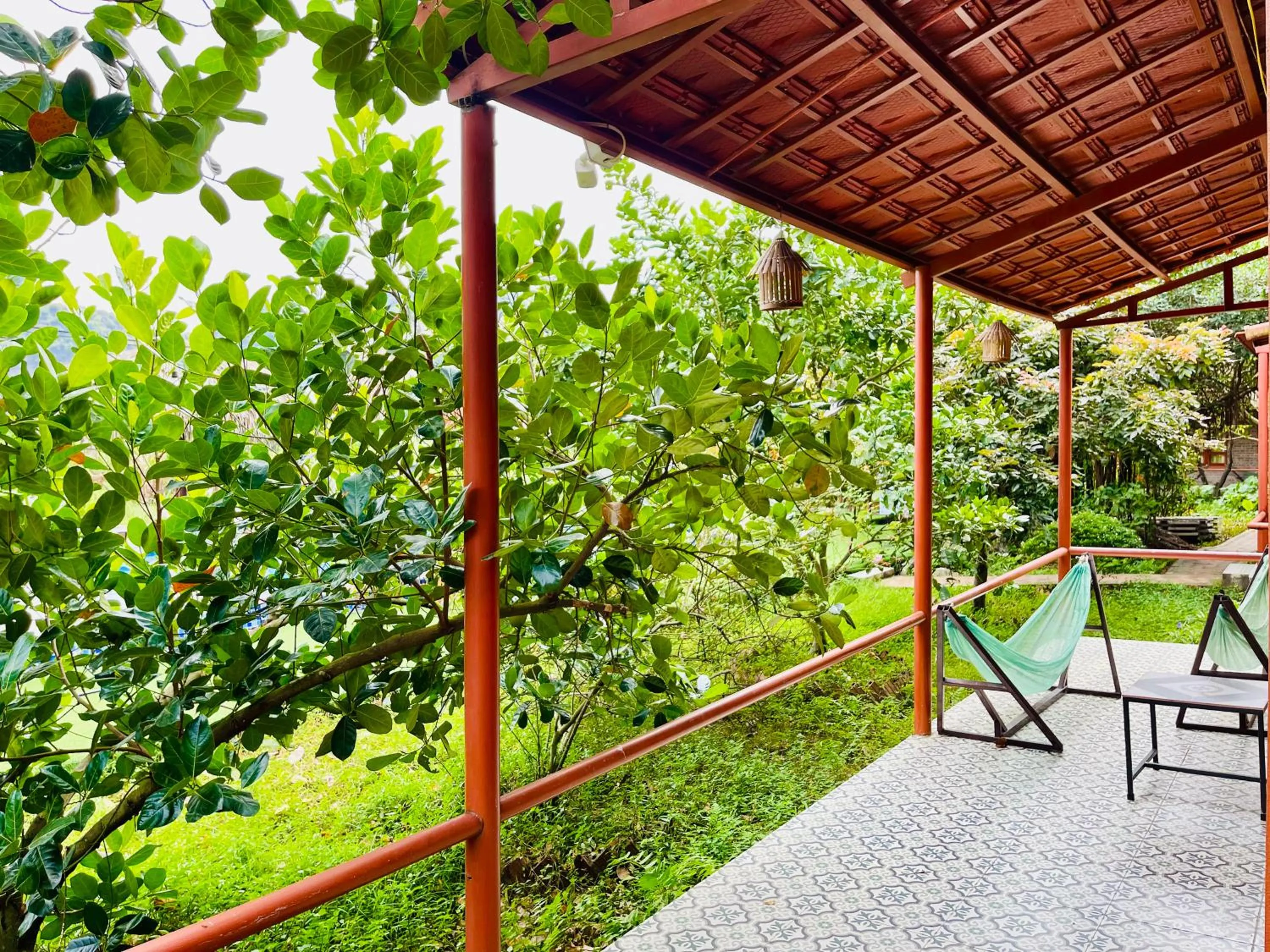 Garden in Trang An Lotus Lake Homestay